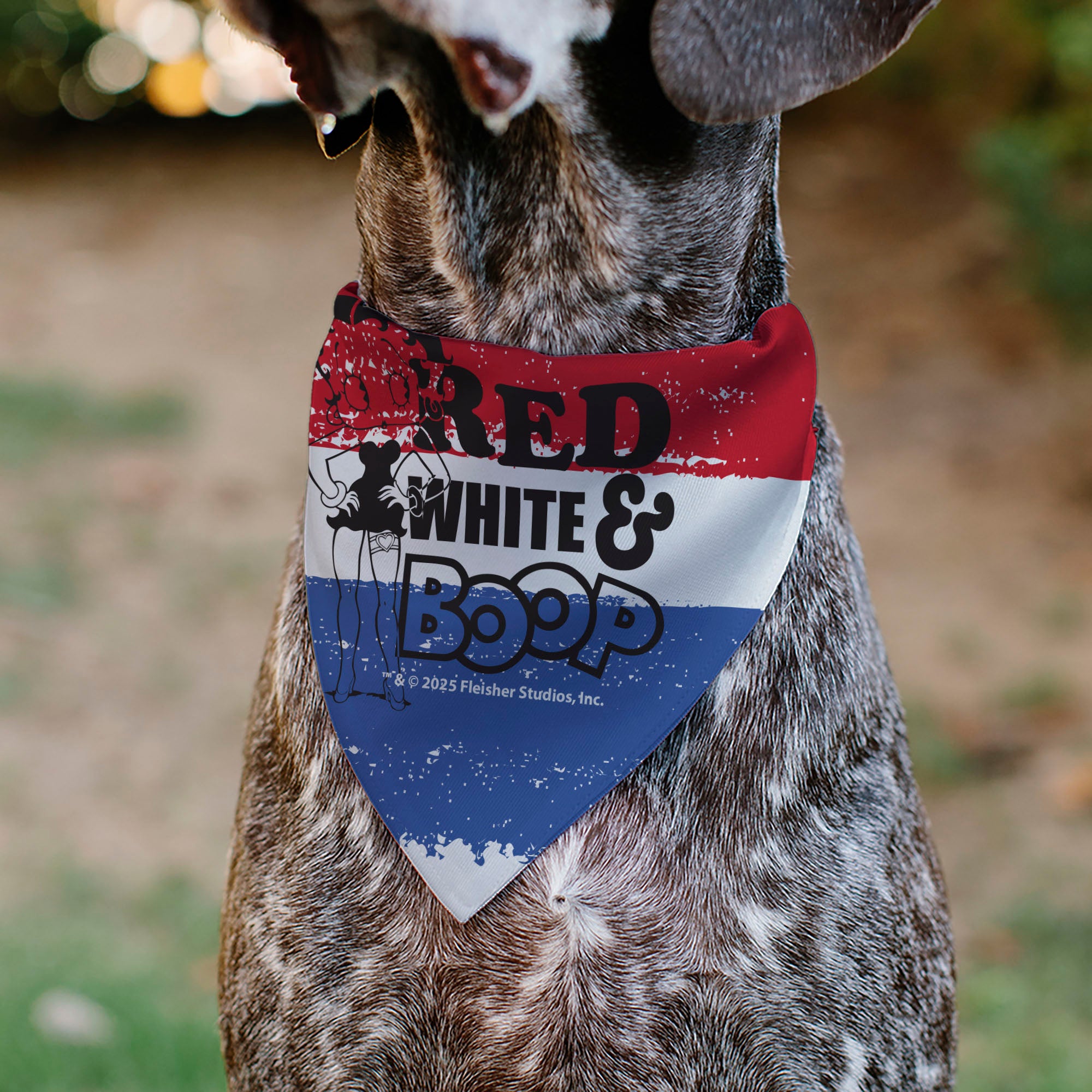 Pet Bandana - Betty Boop RED WHITE & BOOP Stripes Pose White/Red/Blue Pet Bandanas Betty Boop
