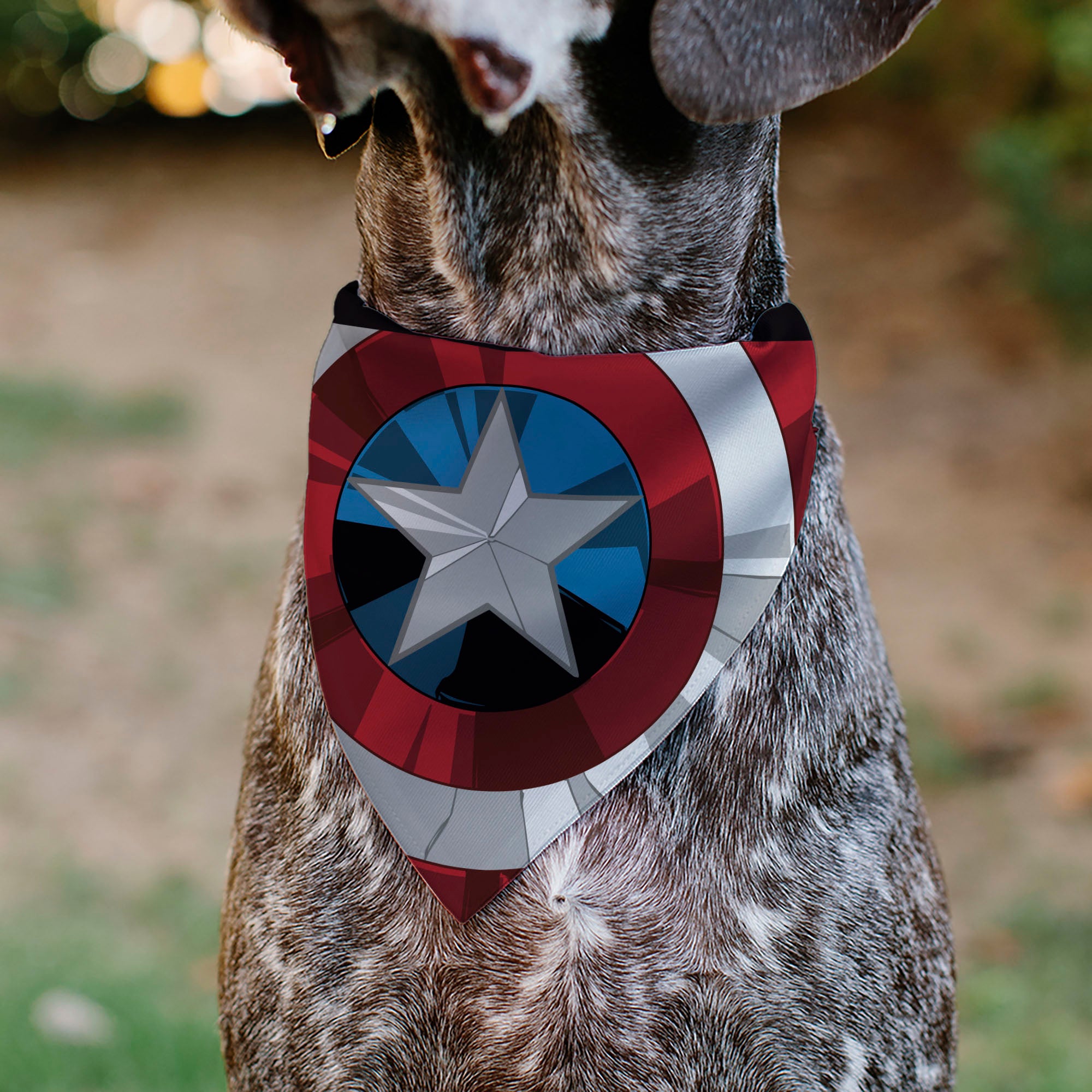 Pet Bandana - Captain America Shield Red/White/Blue Pet Bandanas Marvel Comics