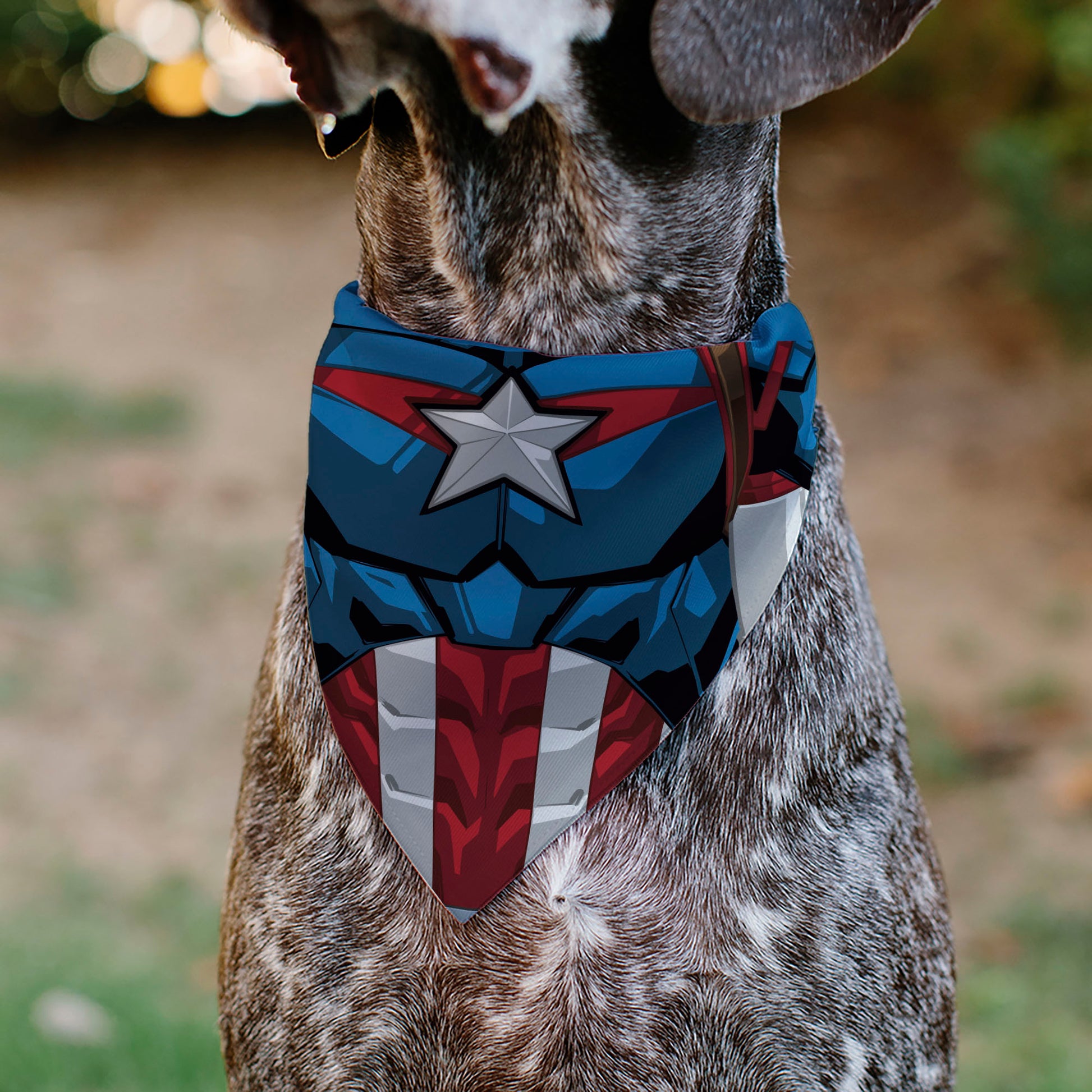 Pet Bandana - Captain America Suit Chest Detail Blue/Red/White Pet Bandanas Marvel Comics
