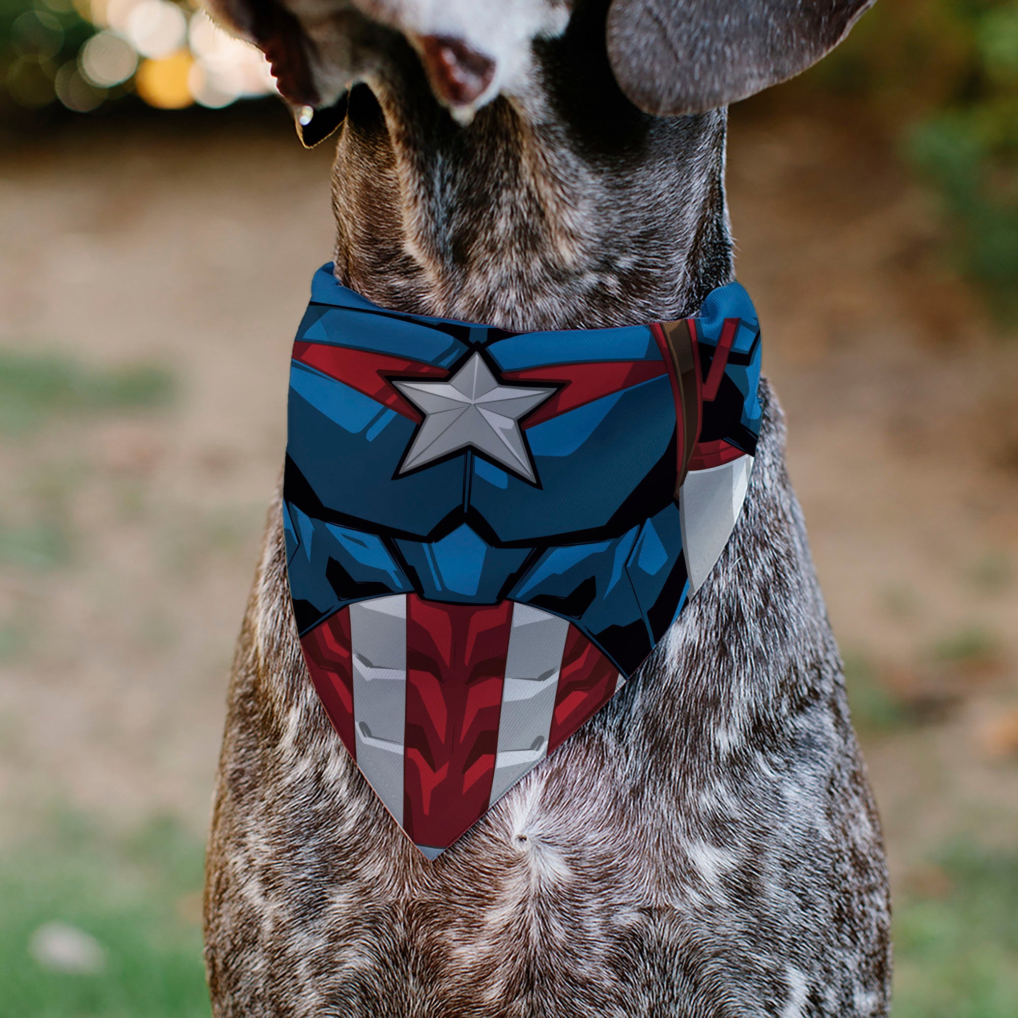 Pet Bandana - Captain America Suit Chest Detail Blue/Red/White Pet Bandanas Marvel Comics