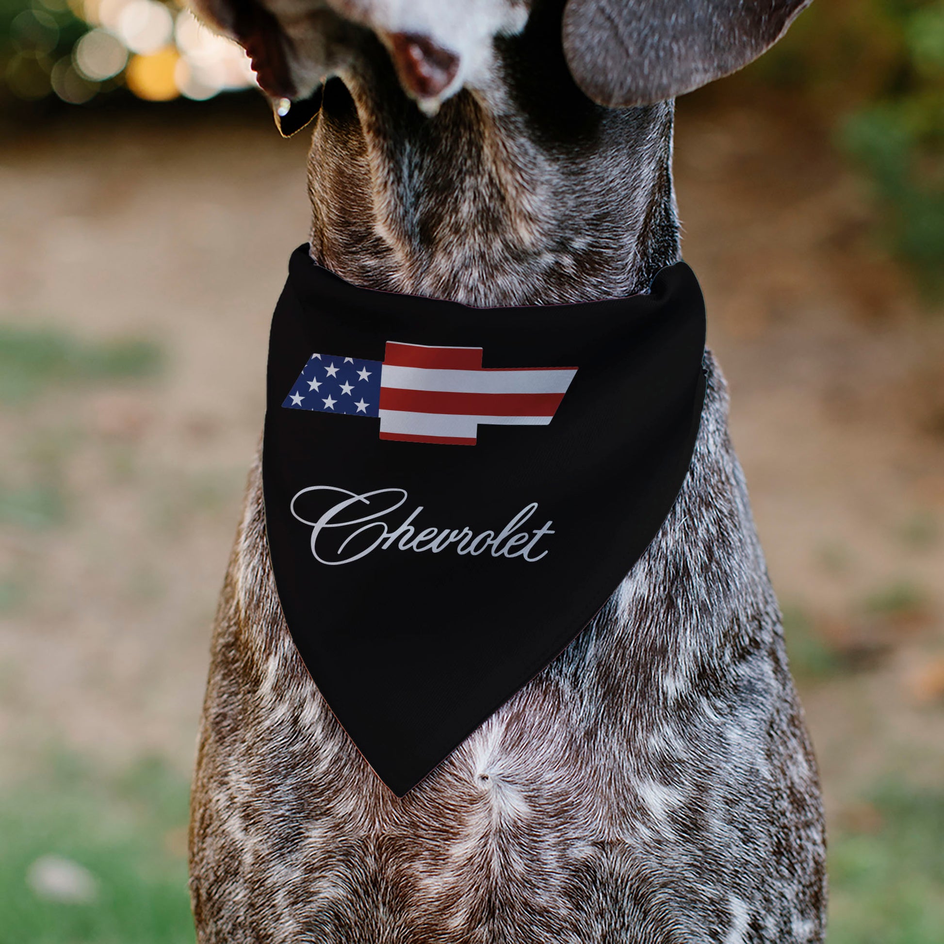 Pet Bandana - CHEVROLET Script and Americana Bowtie Black Pet Bandanas Chevy