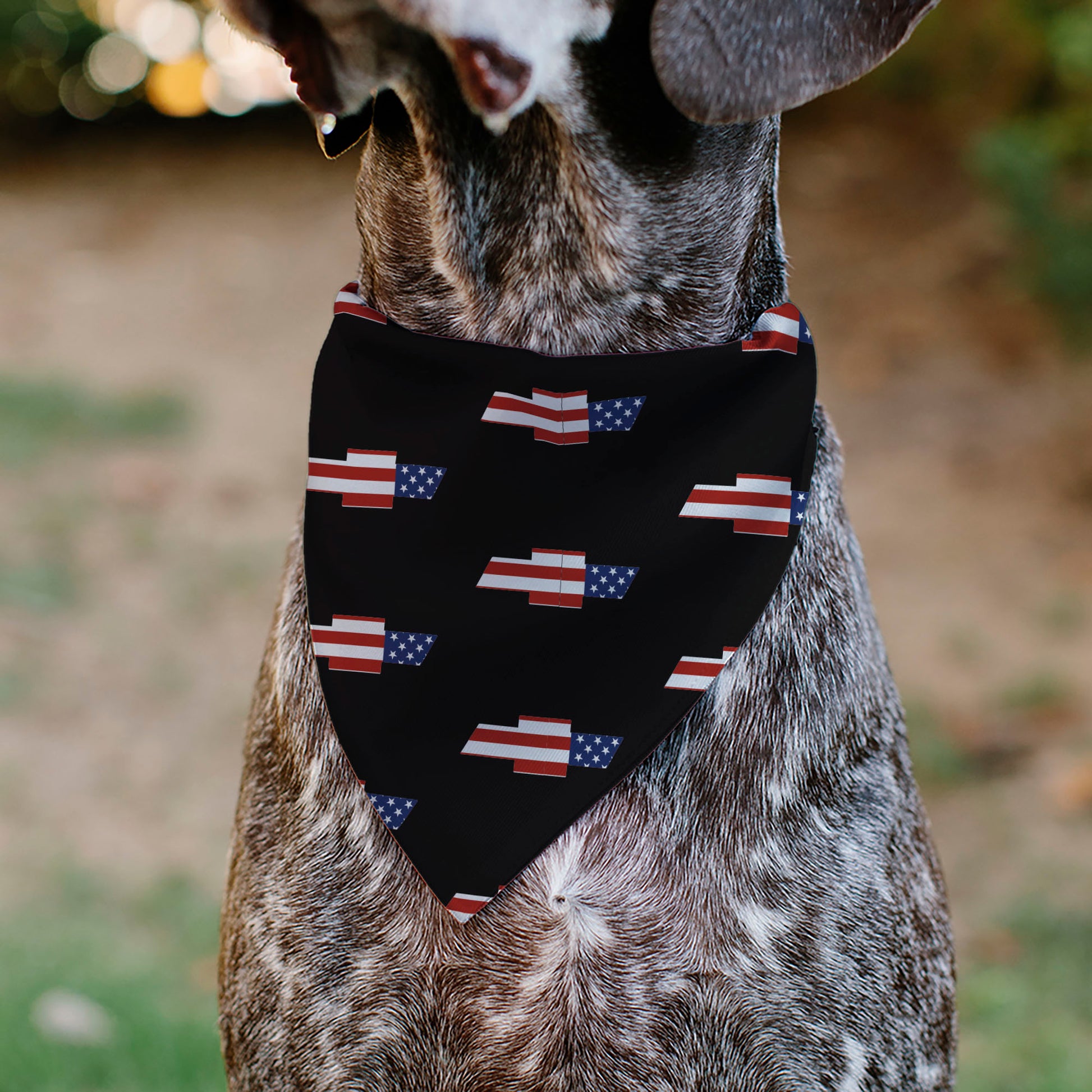 Pet Bandana - CHEVROLET Script and Americana Bowtie Repeat Black Pet Bandanas Chevy