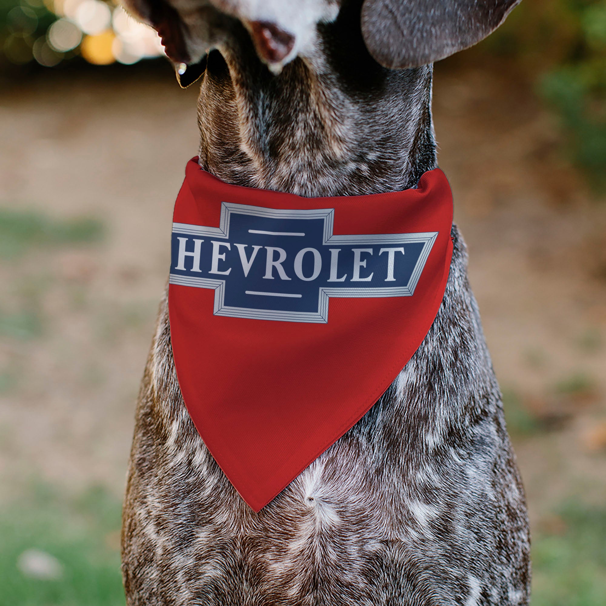 Pet Bandana - CHEVROLET 1940 Bowtie Text Logo Red/White/Blue Pet Bandanas Chevy