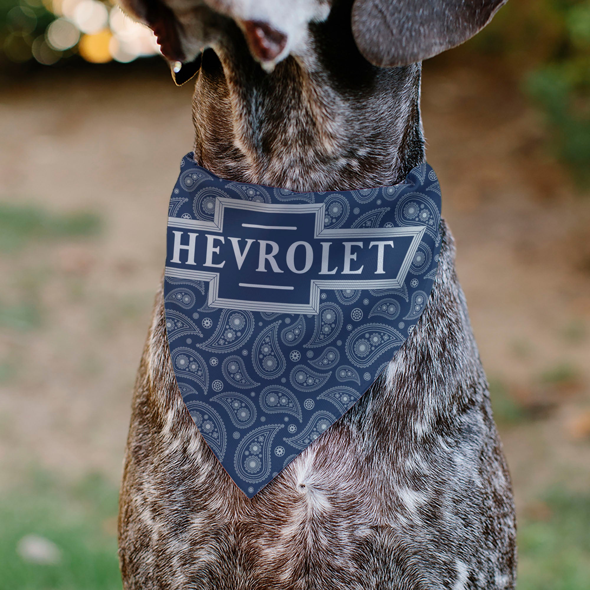 Pet Bandana - CHEVROLET 1940 Bowtie Text Logo Paisley Blue/White Pet Bandanas Chevy