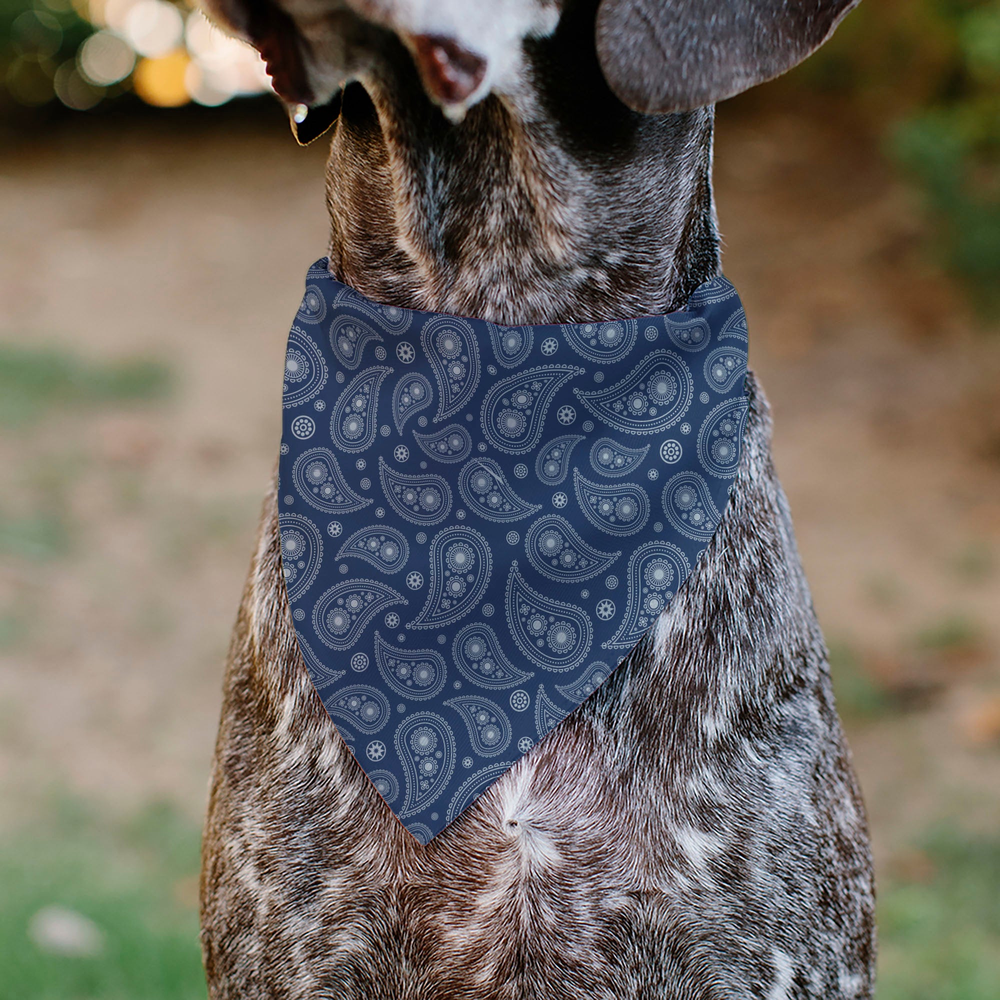 Pet Bandana - CHEVROLET 1940 Bowtie Text Logo Paisley Blue/White Pet Bandanas Chevy