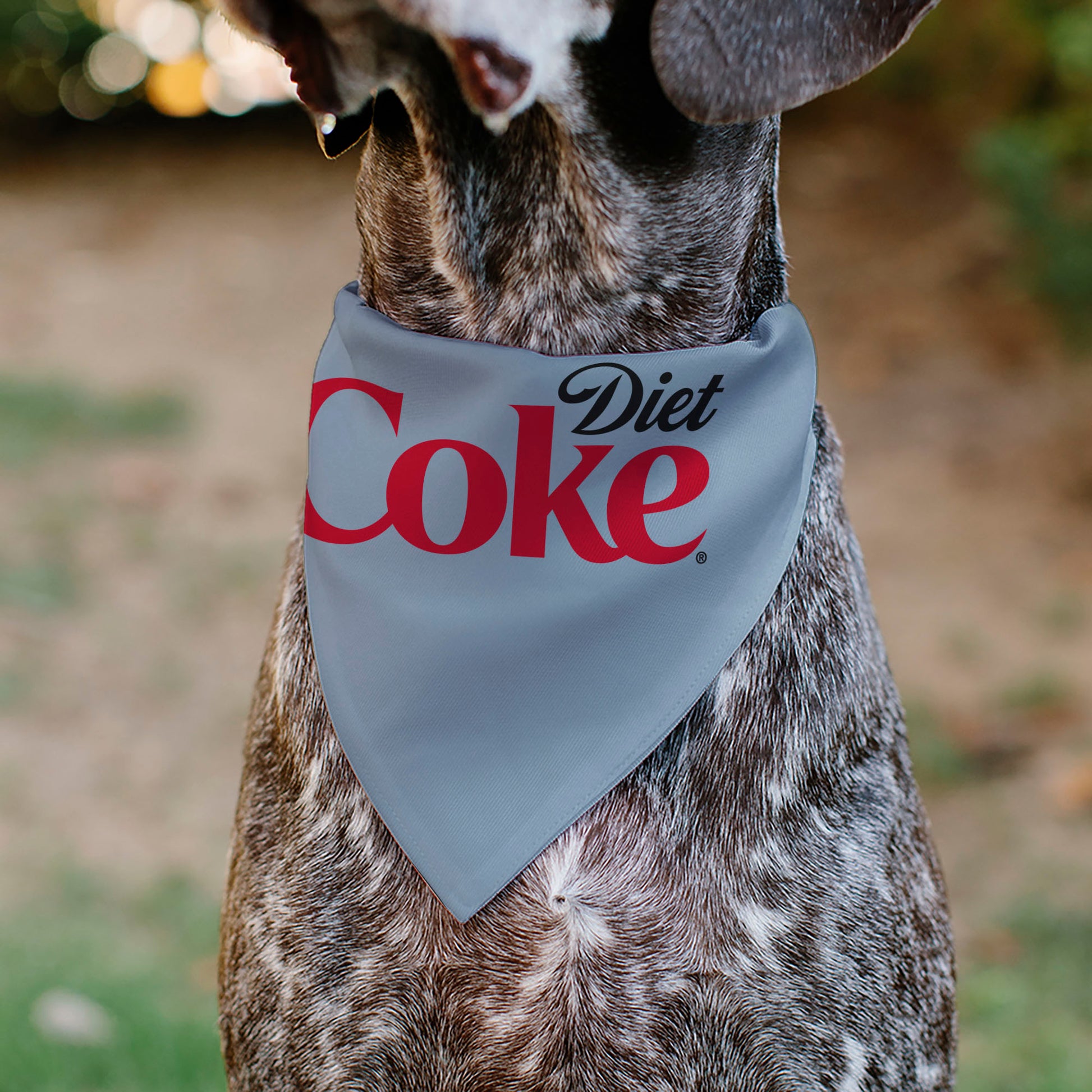 Pet Bandana - DIET COKE Logo Gray/Black/Red Pet Bandanas Coca-Cola
