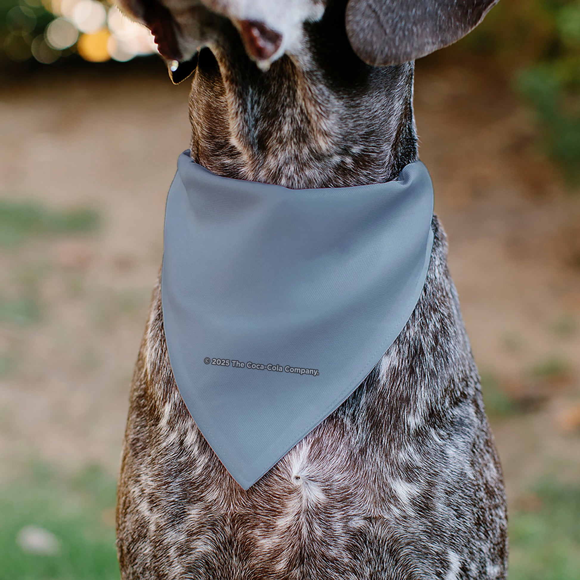 Pet Bandana - DIET COKE Logo Gray/Black/Red Pet Bandanas Coca-Cola