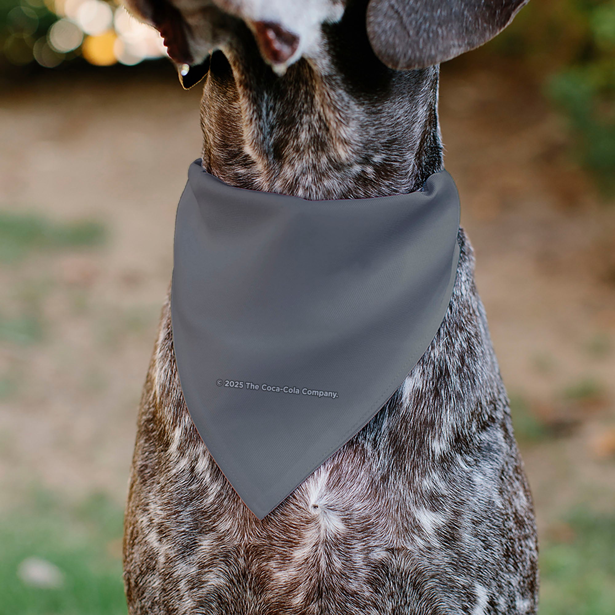 Pet Bandana - DIET COKE Logo Gray/Red/White Pet Bandanas Coca-Cola