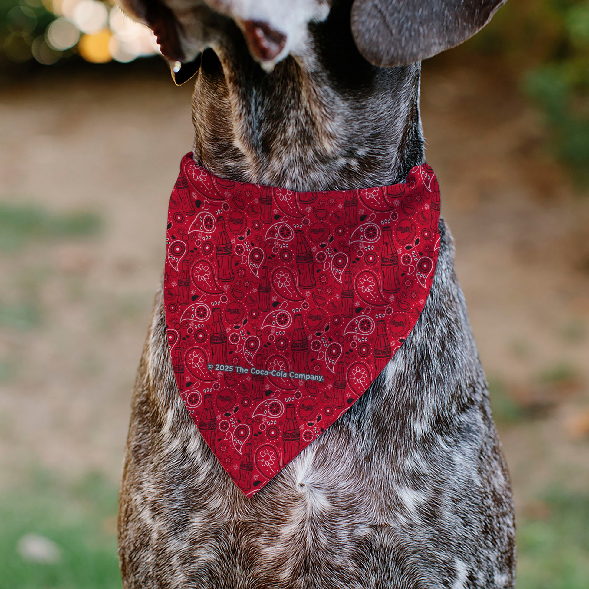 Pet Bandana - Coca-Cola Icons Bandana Collage Red/Black/White Pet Bandanas Coca-Cola