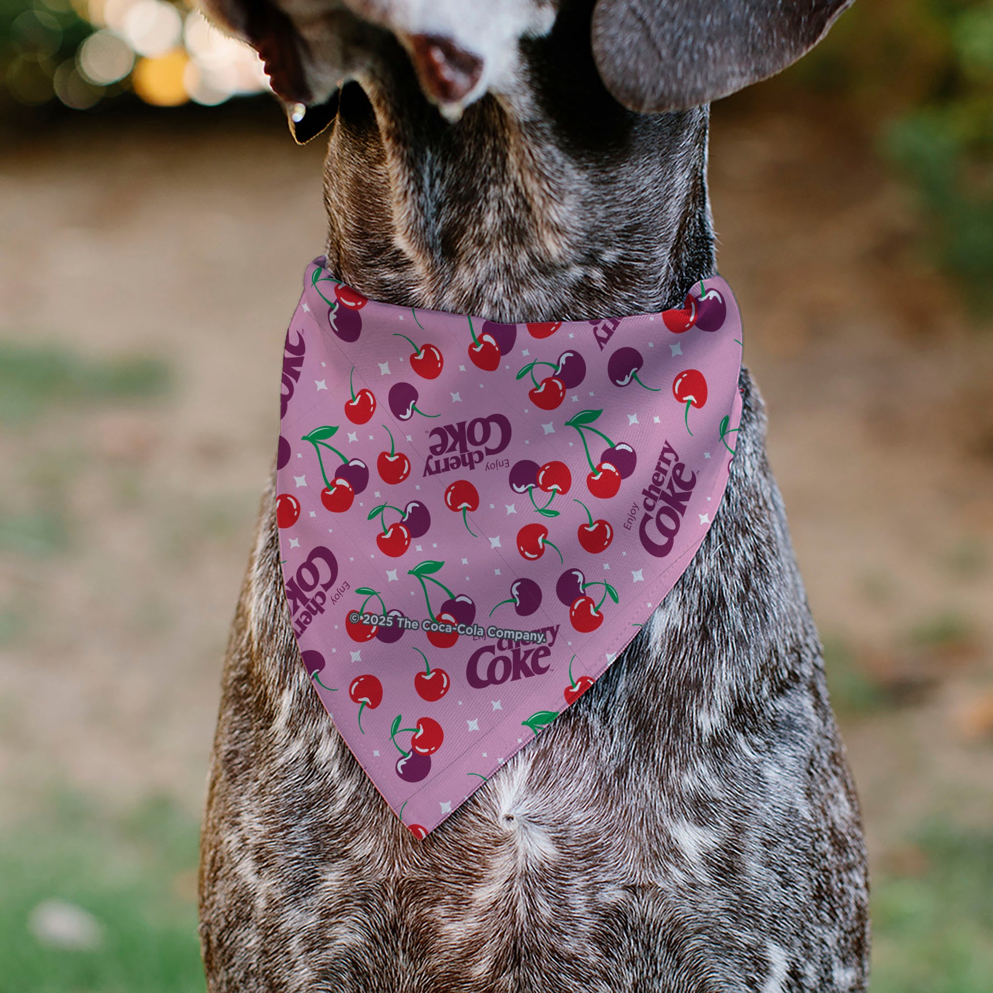 Pet Bandana - CHERRY COKE Cherries and Logo Scattered Pink Pet Bandanas Coca-Cola