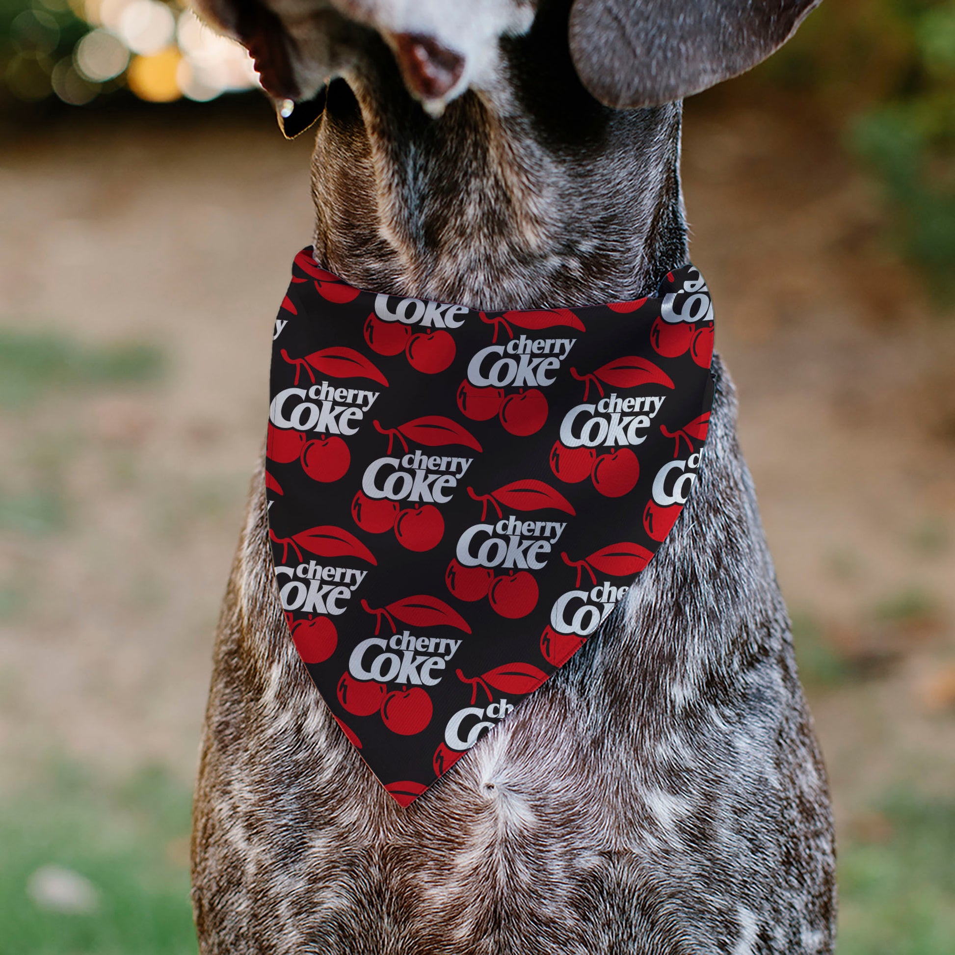 Pet Bandana - CHERRY COKE and Cherries Logo Collage Black/Red/White Pet Bandanas Coca-Cola