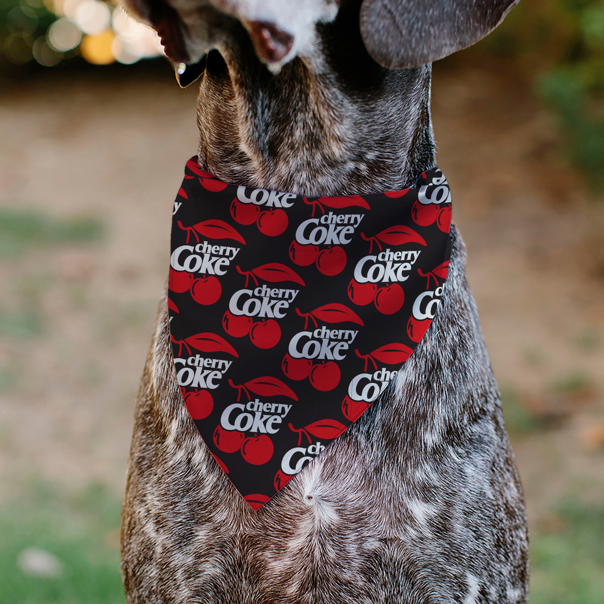 Pet Bandana - CHERRY COKE and Cherries Logo Collage Black/Red/White Pet Bandanas Coca-Cola