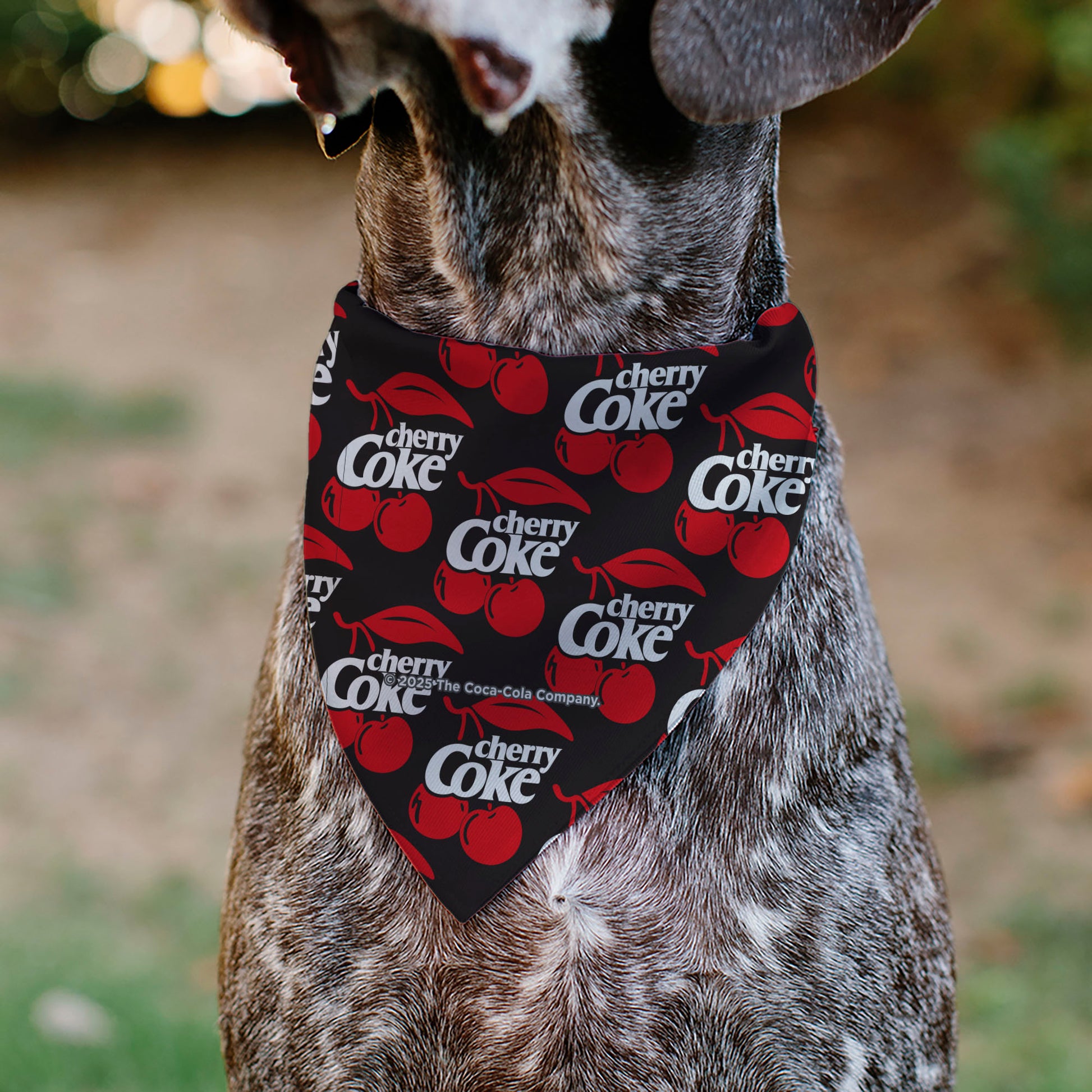 Pet Bandana - CHERRY COKE and Cherries Logo Collage Black/Red/White Pet Bandanas Coca-Cola