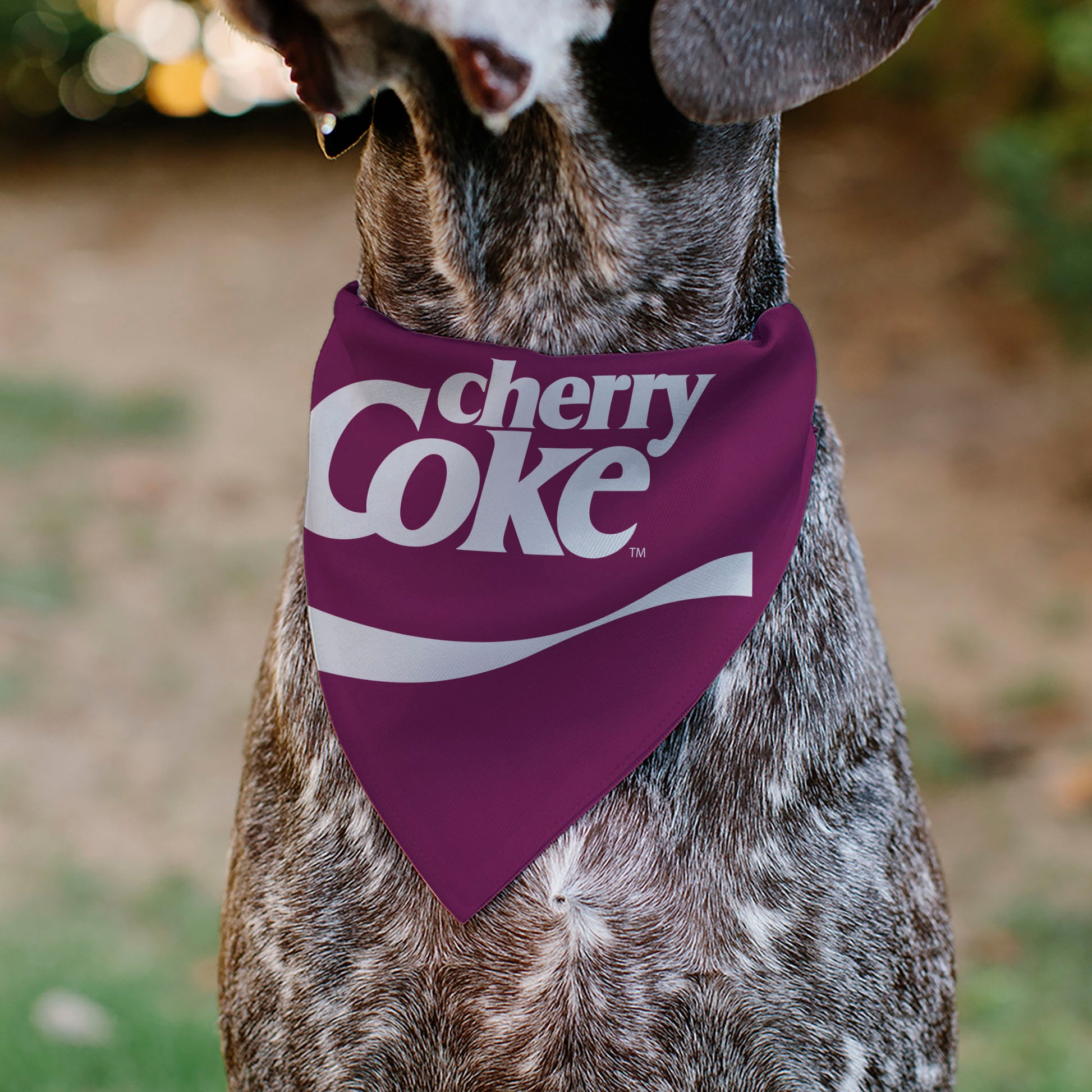Pet Bandana - CHERRY COKE Wave Logo Burgundy/White Pet Bandanas Coca-Cola