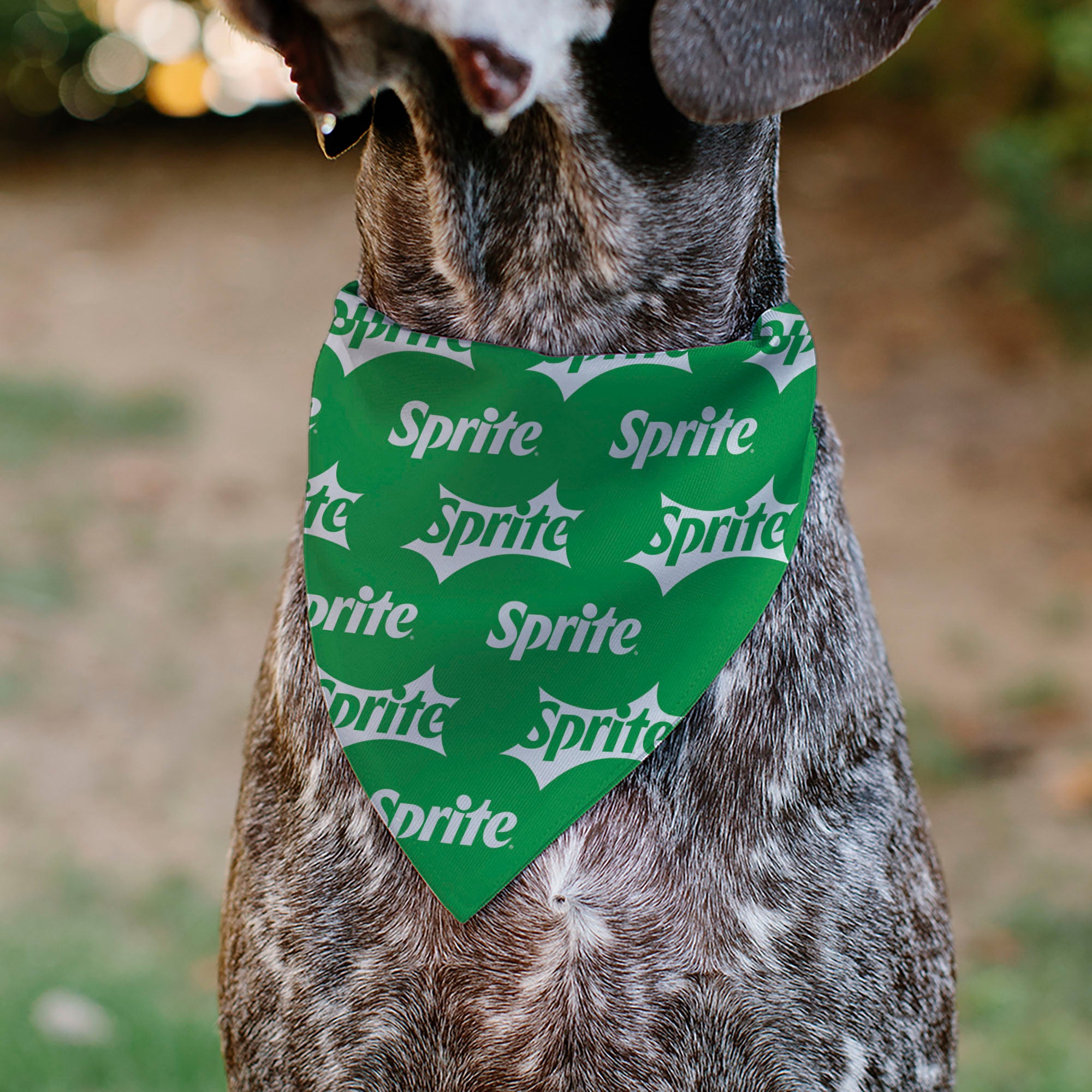 Pet Bandana - SPRITE Logo Repeat Green/White Pet Bandanas Coca-Cola