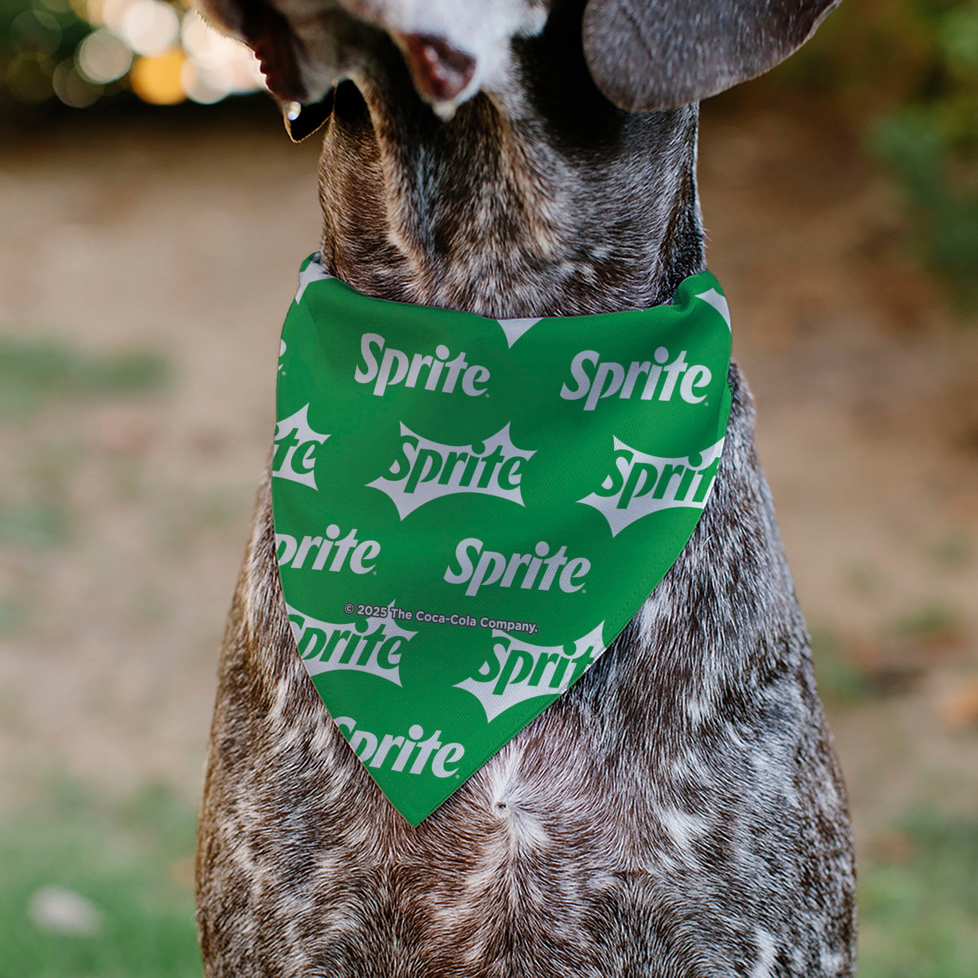 Pet Bandana - SPRITE Logo Repeat Green/White Pet Bandanas Coca-Cola