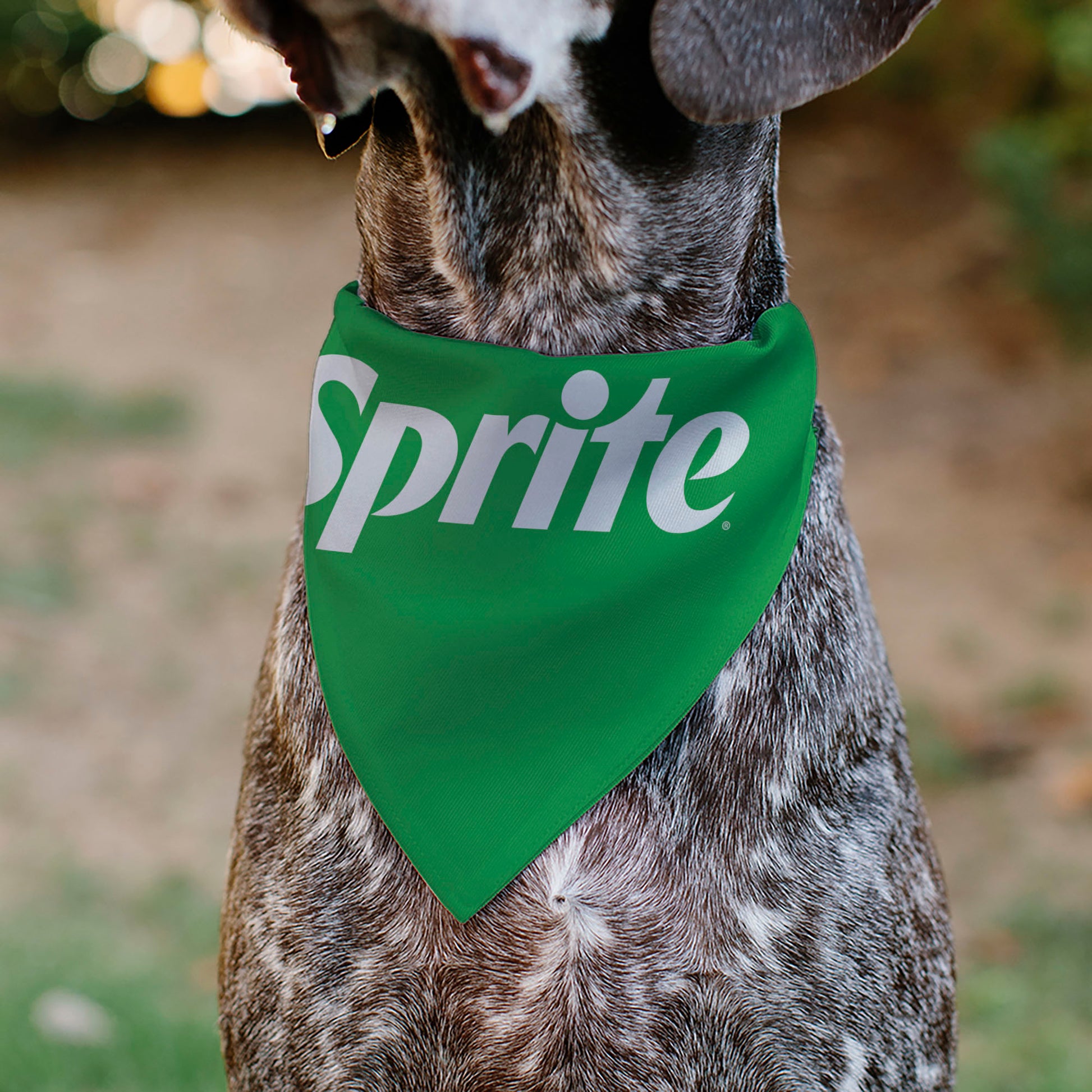 Pet Bandana - SPRITE Text Logo Green/White Pet Bandanas Coca-Cola