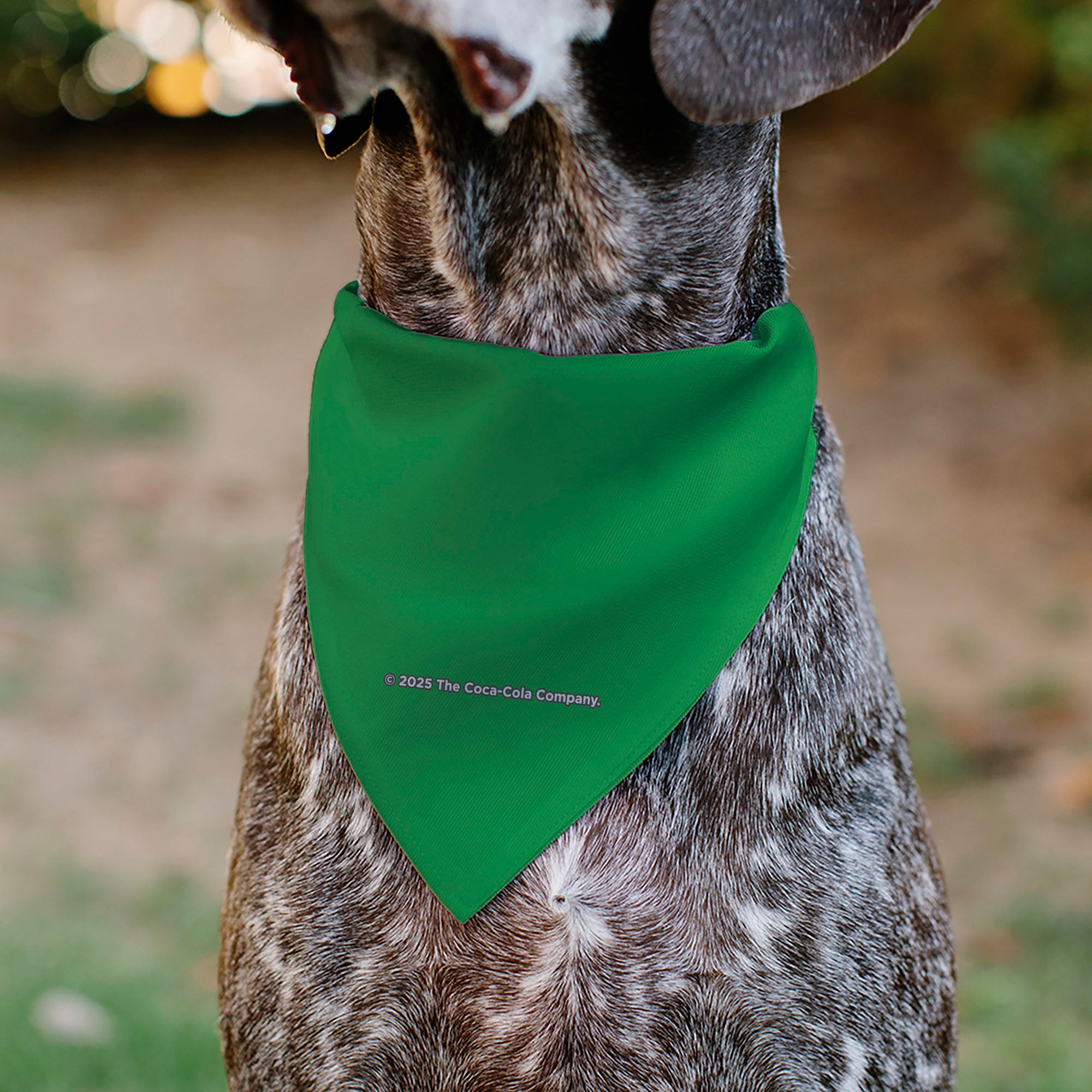Pet Bandana - SPRITE Text Logo Green/White Pet Bandanas Coca-Cola