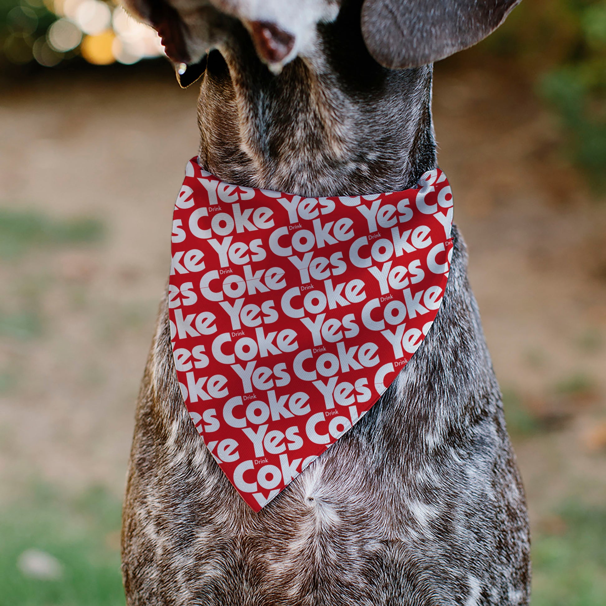 Pet Bandana - Coca-Cola YES COKE YES Text Collage Red/White Pet Bandanas Coca-Cola