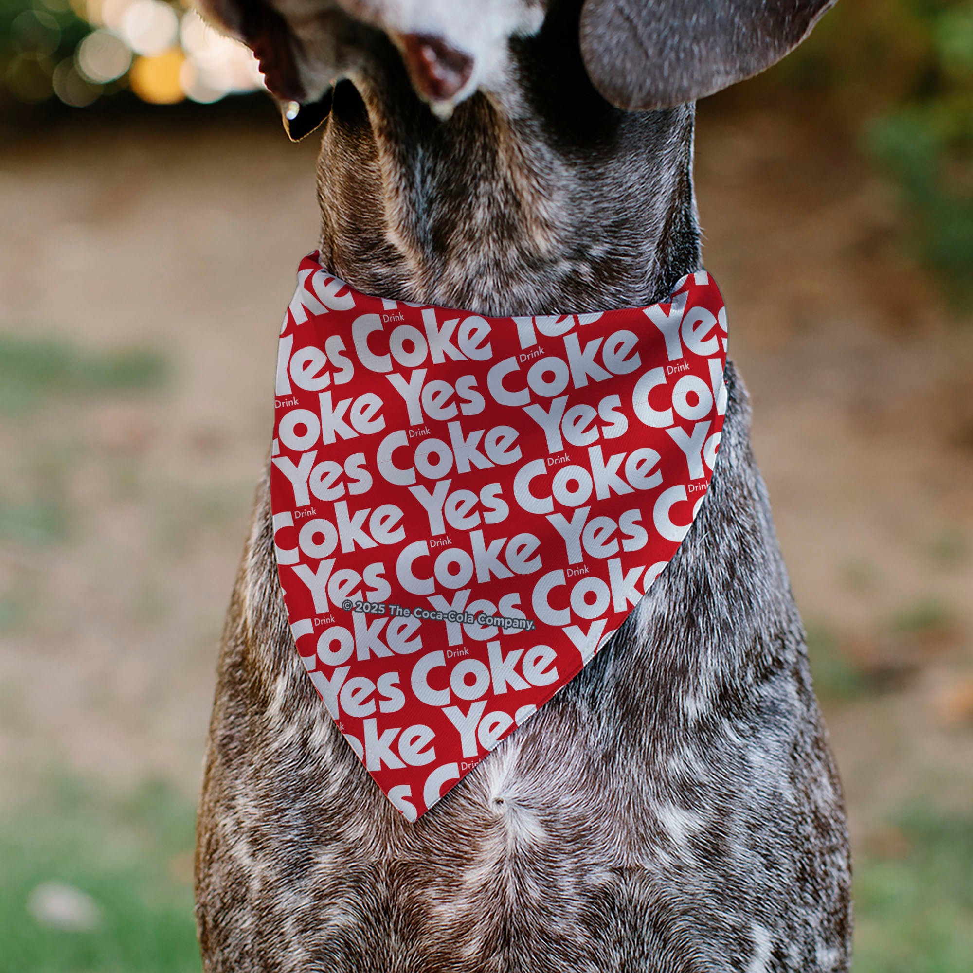 Pet Bandana - Coca-Cola YES COKE YES Text Collage Red/White Pet Bandanas Coca-Cola