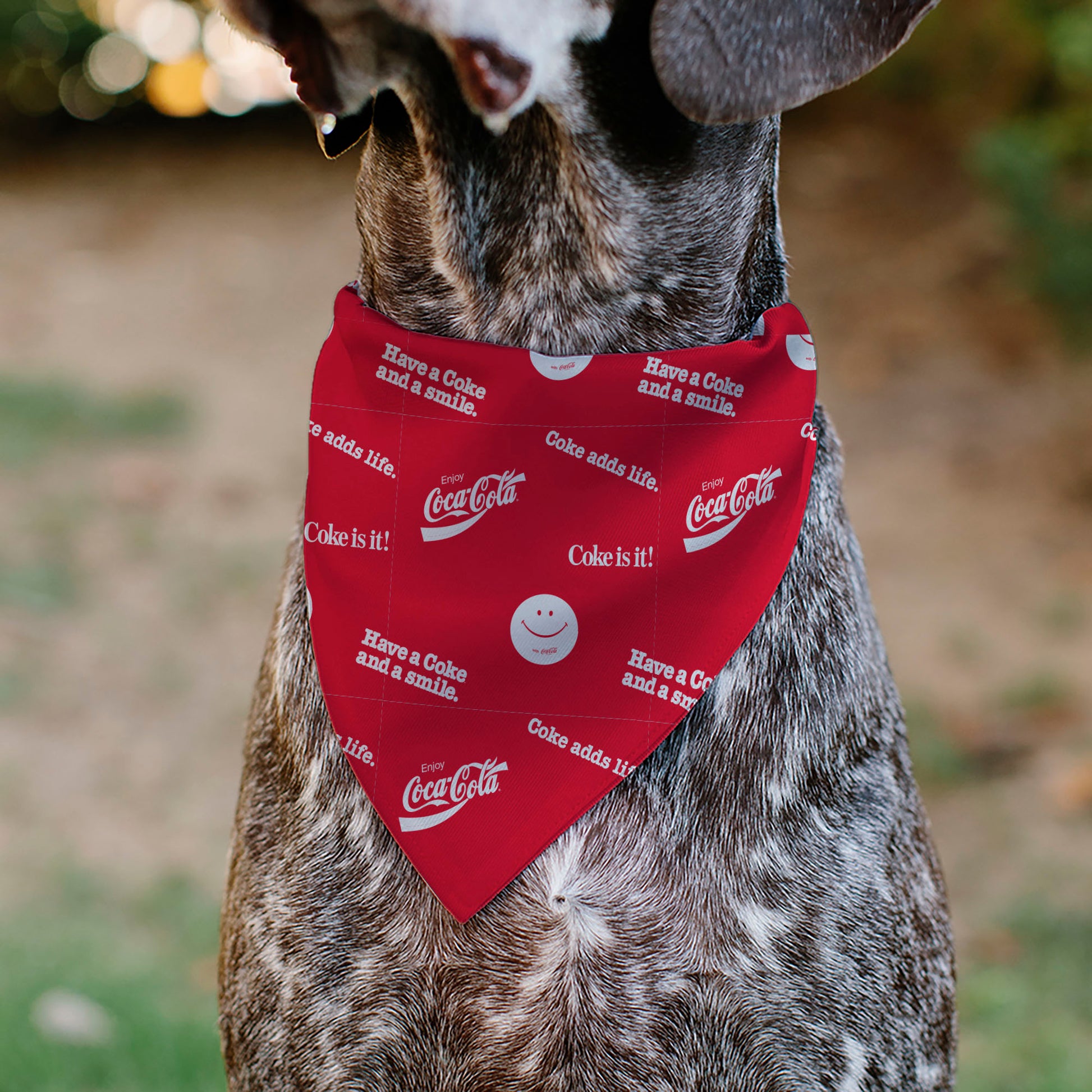 Pet Bandana - COCA-COLA Coke Quotes Scattered Red/White Pet Bandanas Coca-Cola