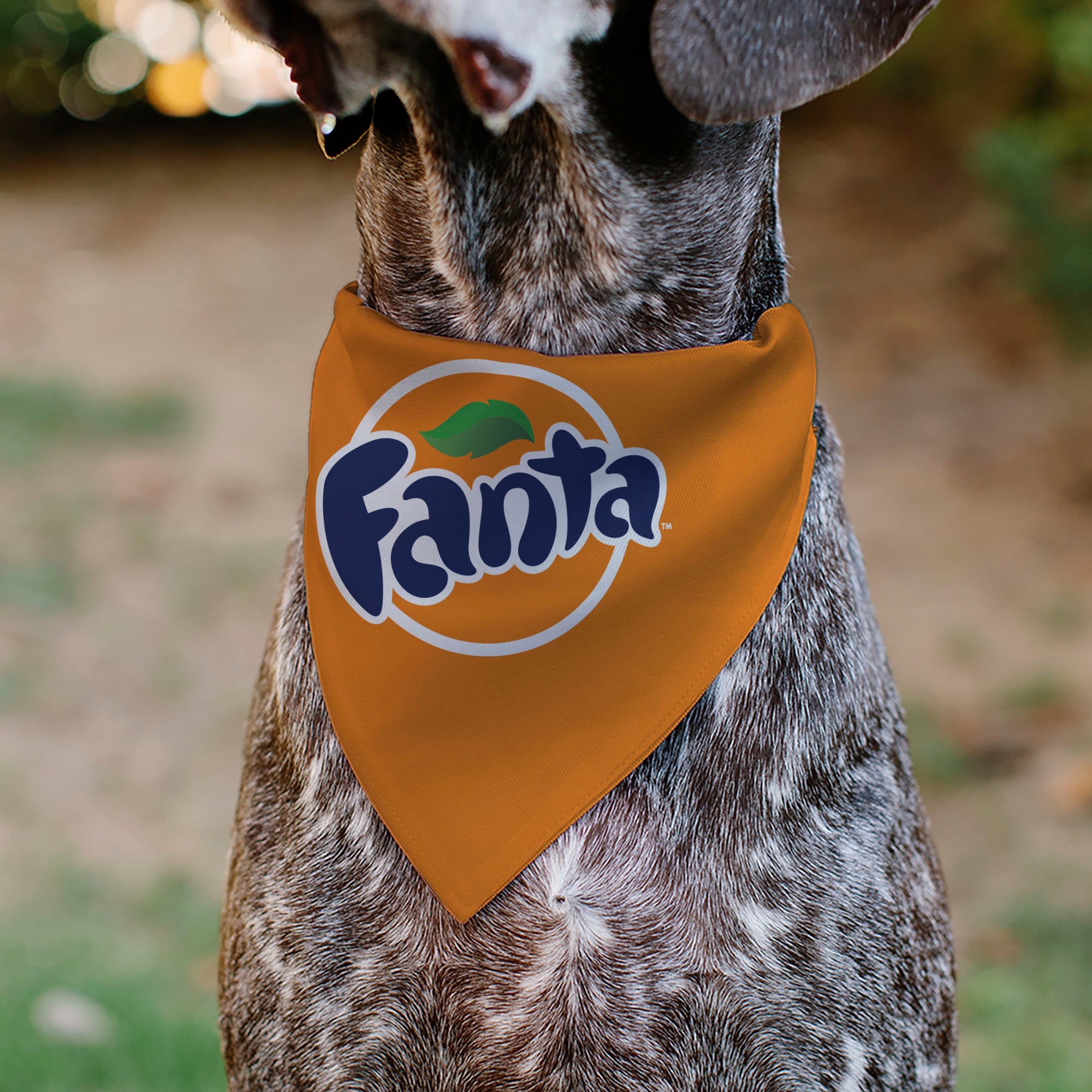 Pet Bandana - FANTA Orange Round Logo Orange/White/Blue Pet Bandanas Coca-Cola