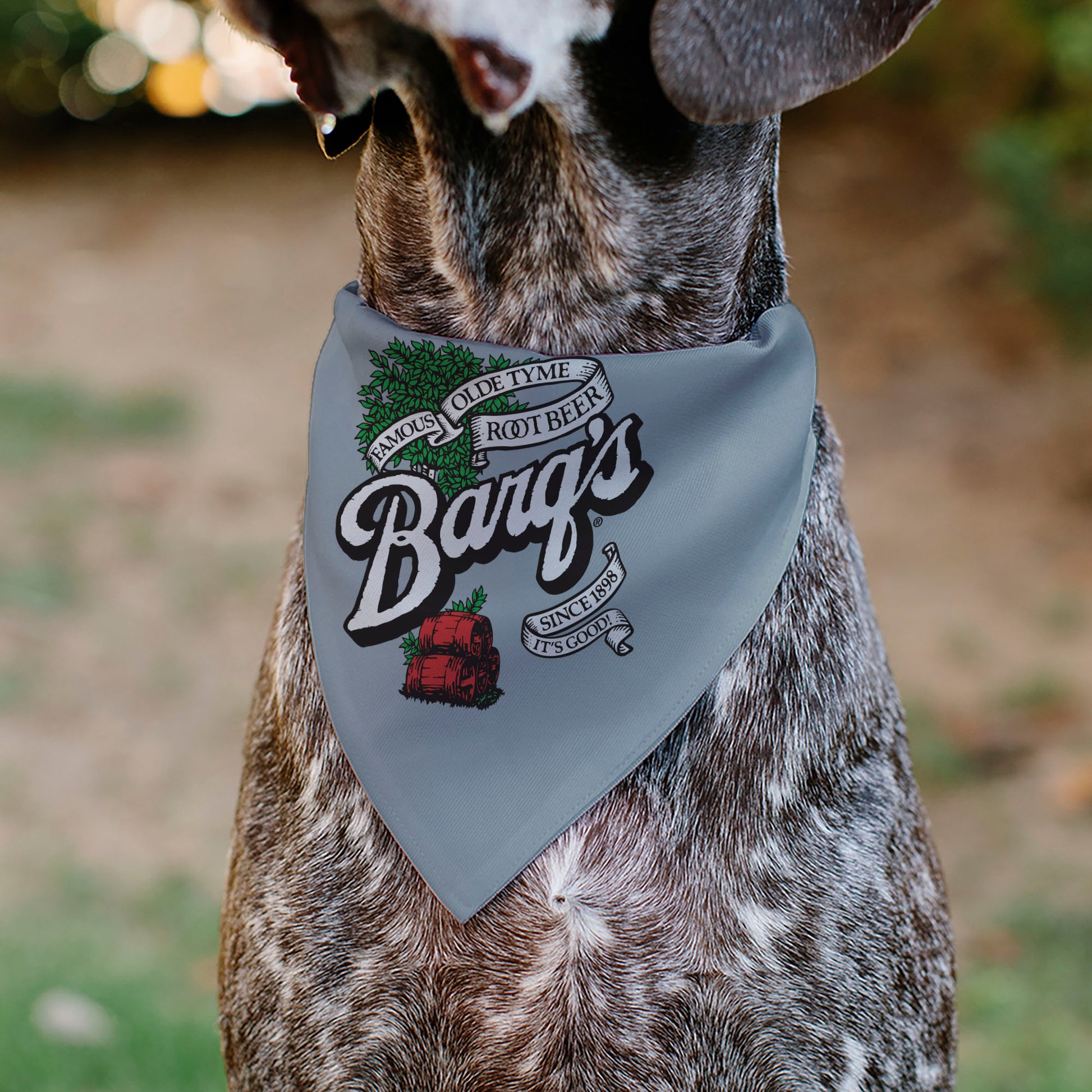Pet Bandana - BARQ'S OLD TYME ROOT BEER Barrels Logo Gray Pet Bandanas Coca-Cola