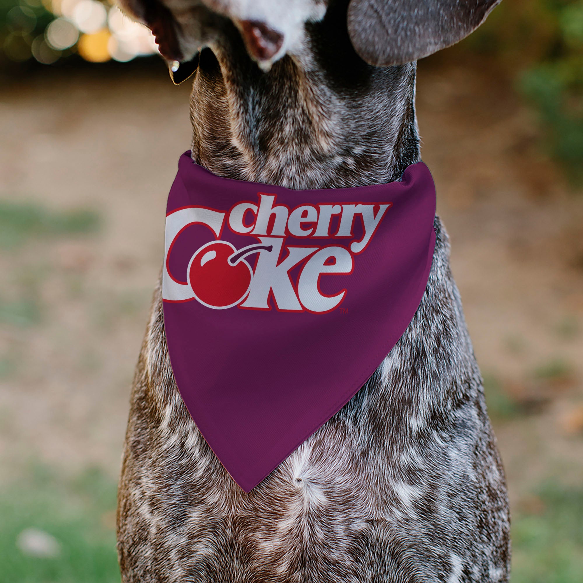 Pet Bandana - CHERRY COKE Cherry Logo Burgundy/Red/White Pet Bandanas Coca-Cola