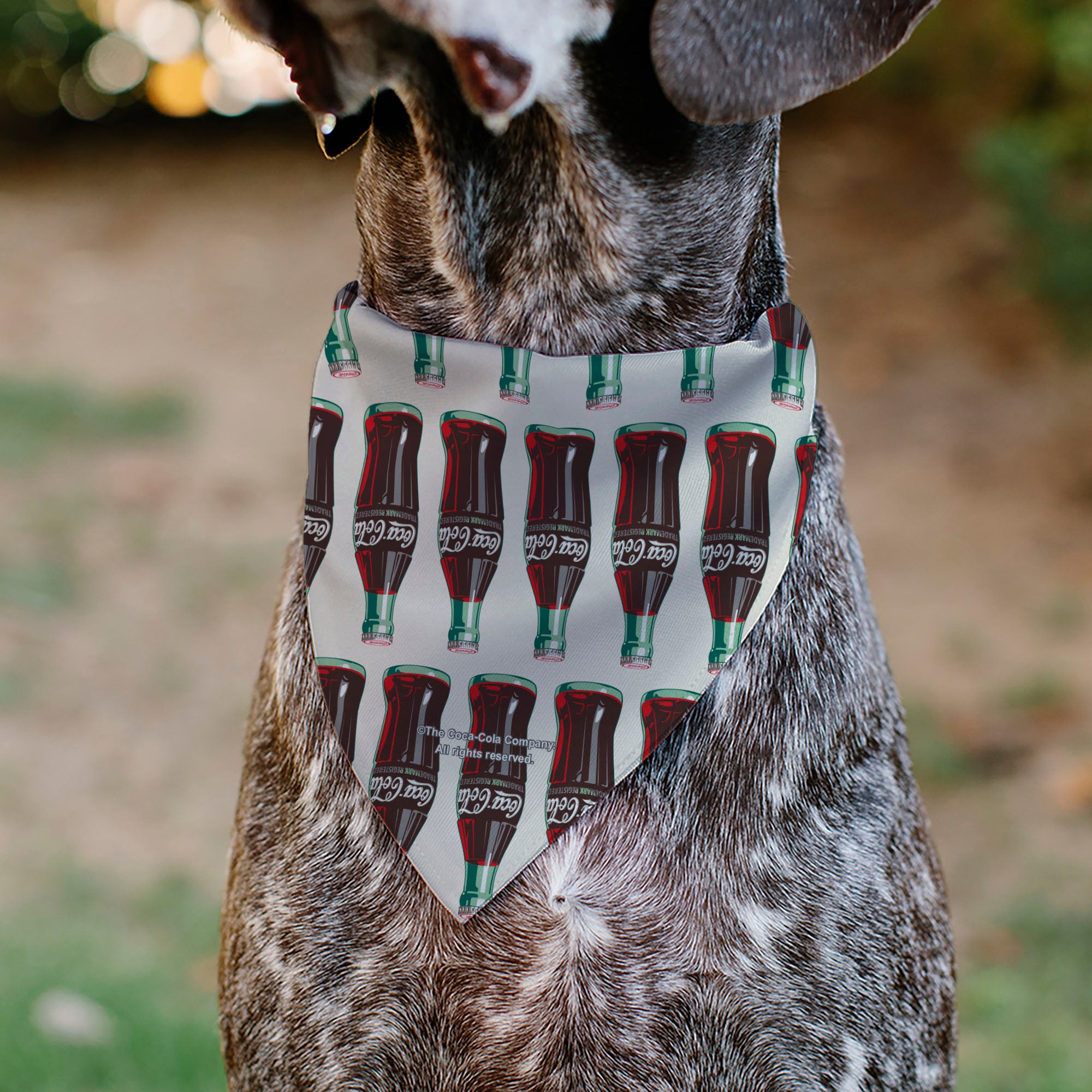 Pet Bandana - Coca-Cola Glass Bottles Collage White Pet Bandanas Coca-Cola