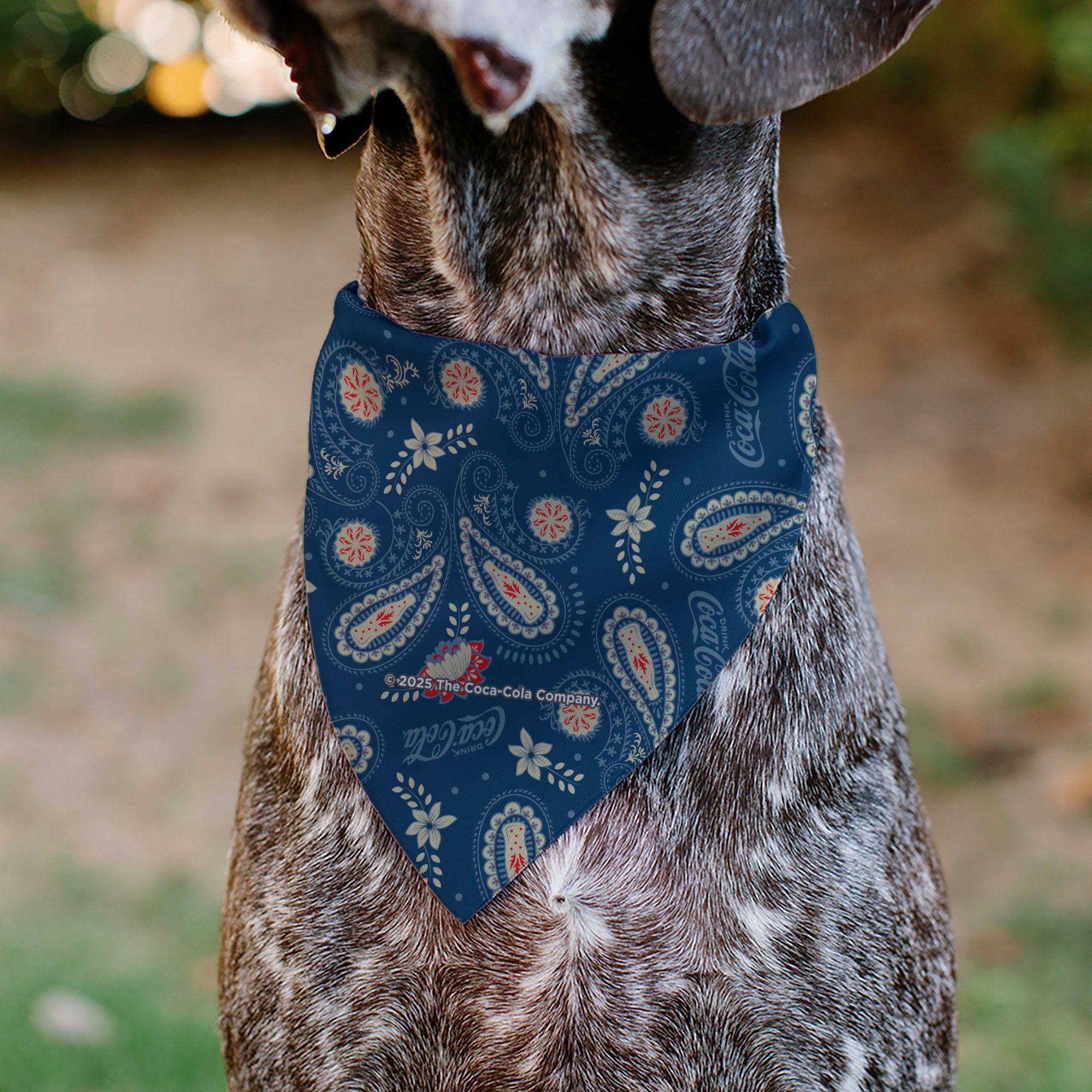 Pet Bandana - COCA-COLA Paisley Bottle Icons Scattered Blues/White/Red Pet Bandanas Coca-Cola