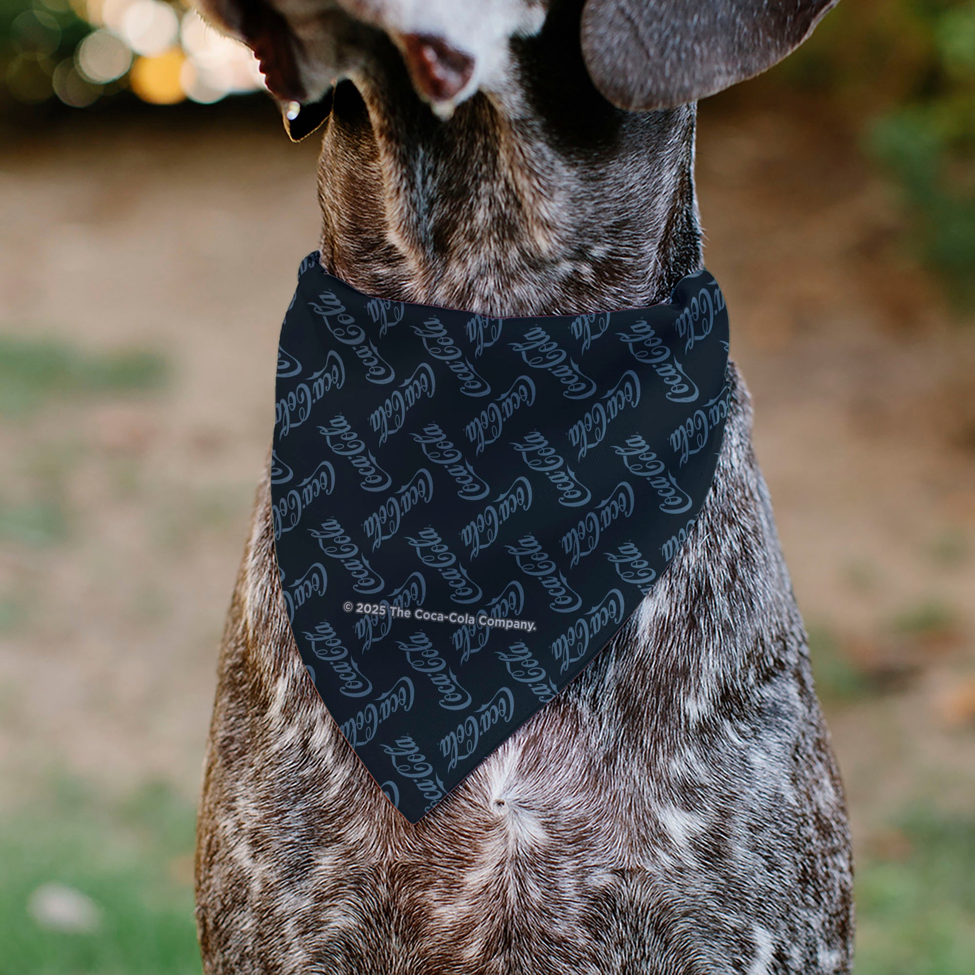 Pet Bandana - COCA-COLA Script Collage Navy/Light Blue Pet Bandanas Coca-Cola
