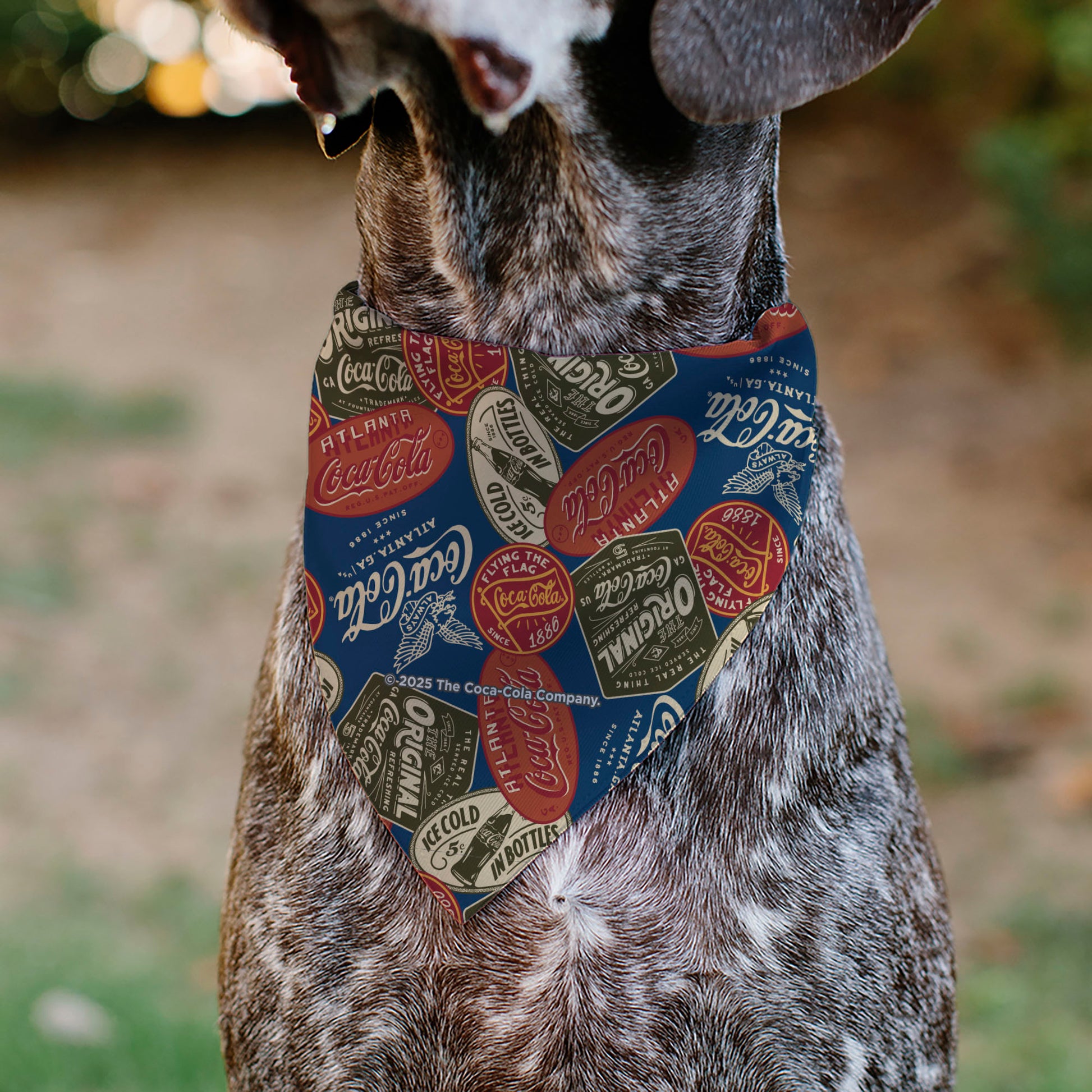 Pet Bandana - Classic COCA-COLA Badges Collage Blue Pet Bandanas Coca-Cola