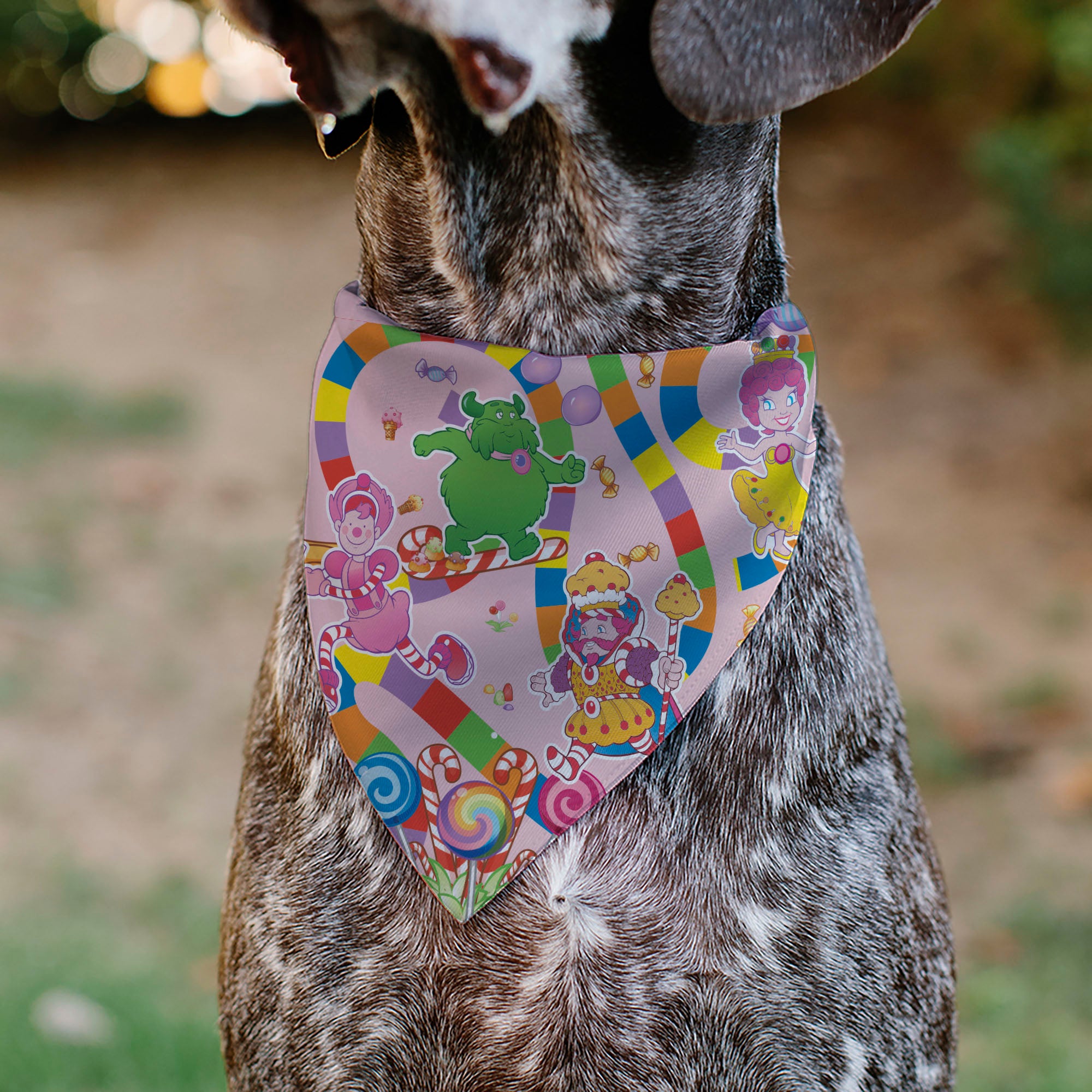 Pet Bandana - CANDY LAND Characters and Icons Collage Pink Pet Bandanas Candy Land