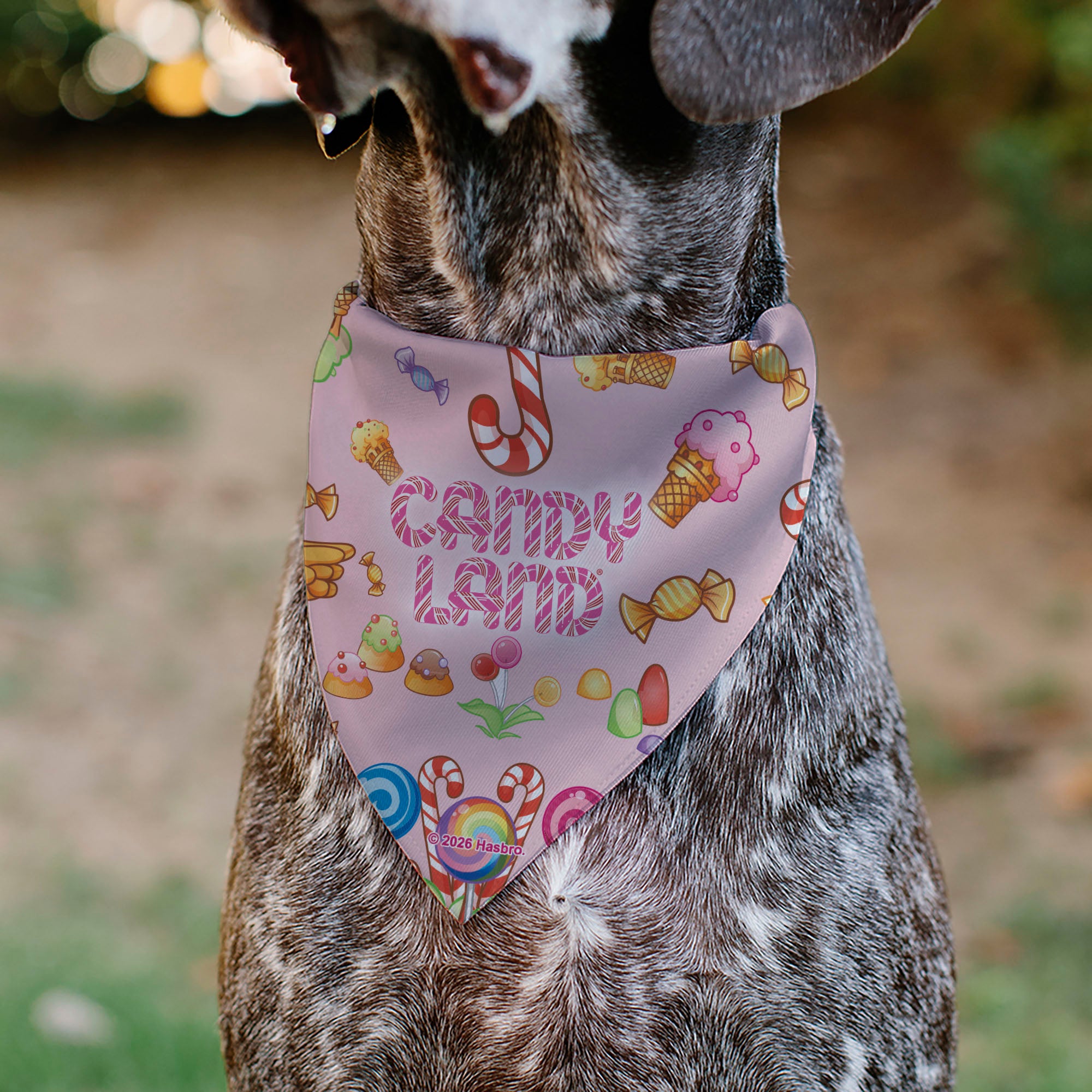 Pet Bandana - CANDY LAND Characters and Icons Collage Pink Pet Bandanas Candy Land