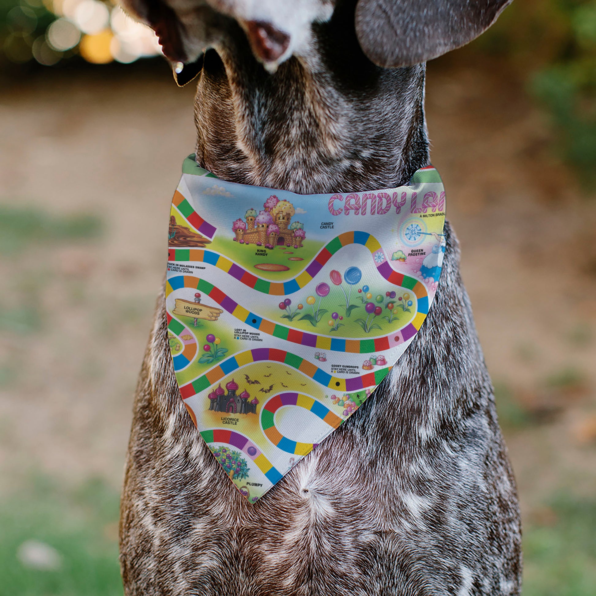 Pet Bandana - CANDY LAND Game Board Game Scenes and Logo Pet Bandanas Candy Land