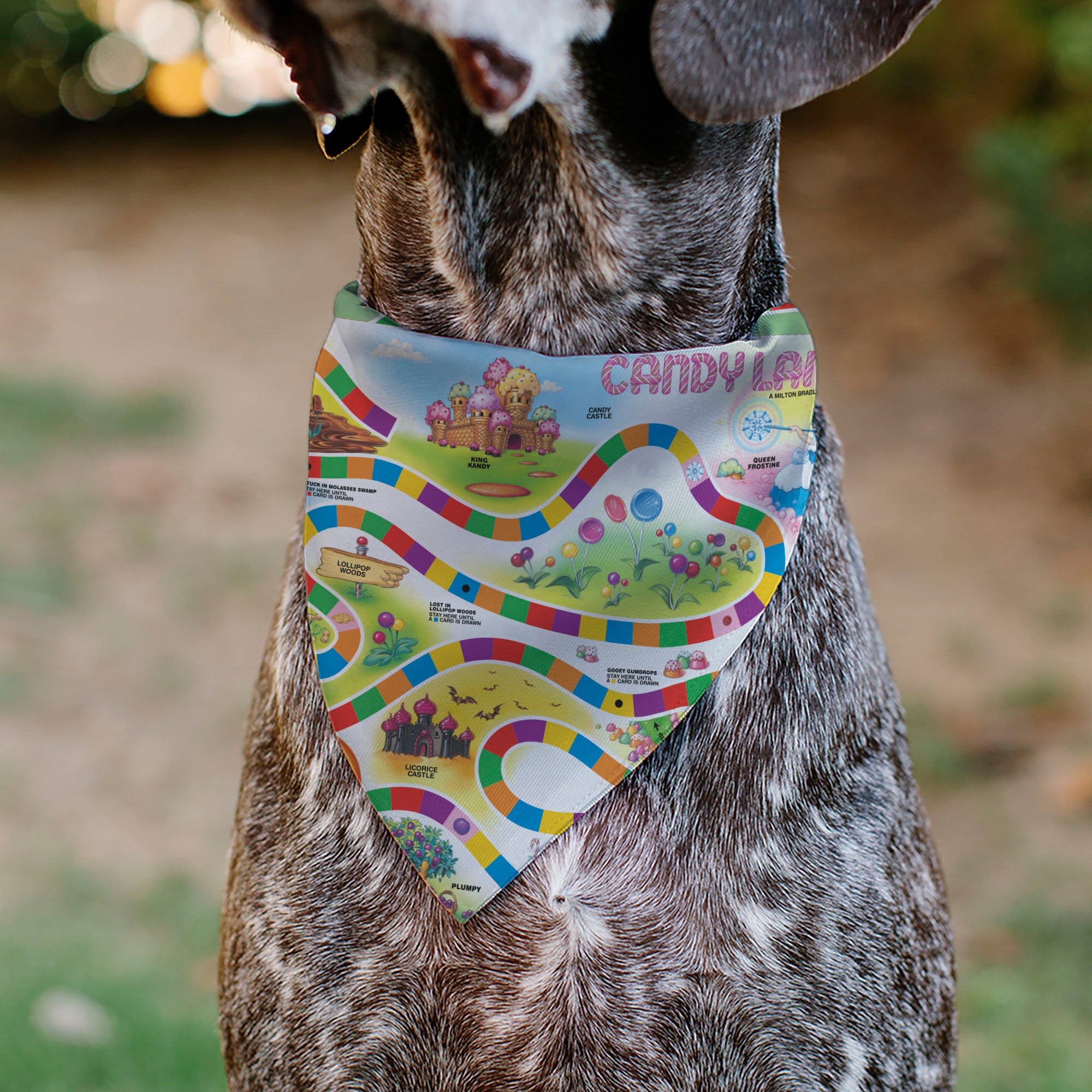 Pet Bandana - CANDY LAND Game Board Game Scenes and Logo Pet Bandanas Candy Land