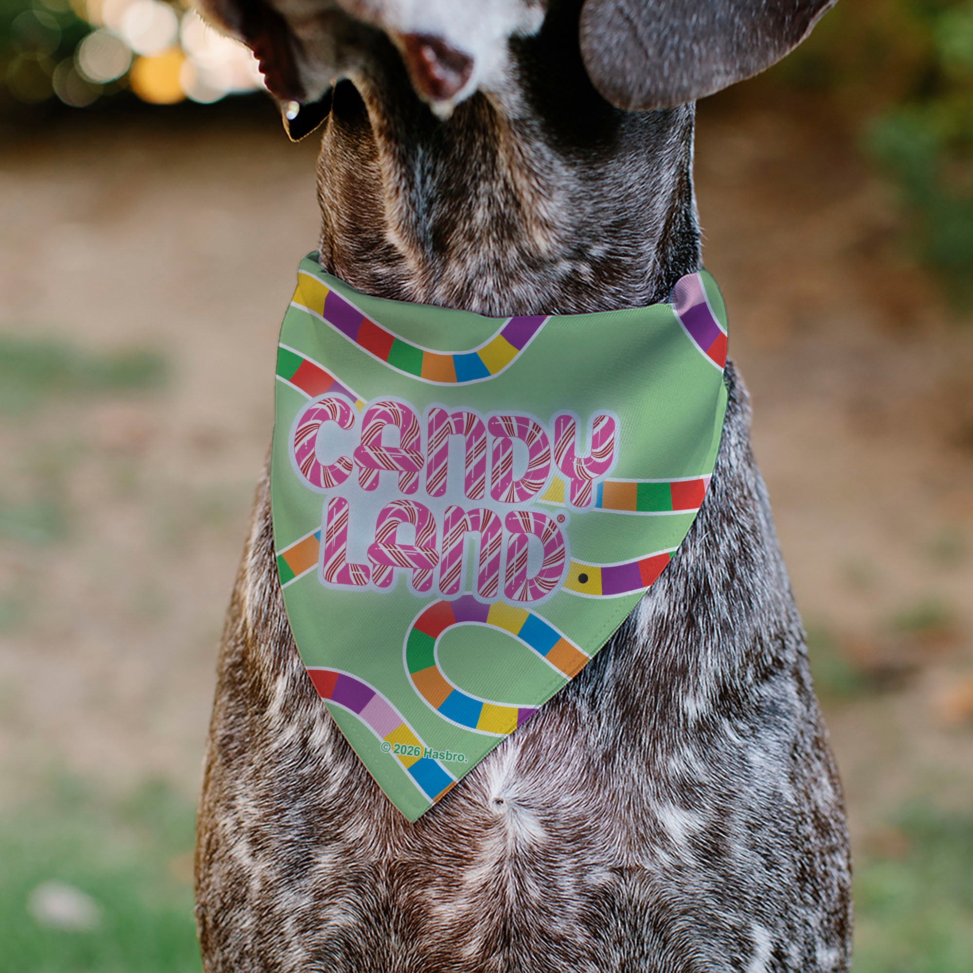 Pet Bandana - CANDY LAND Game Board Game Scenes and Logo Pet Bandanas Candy Land