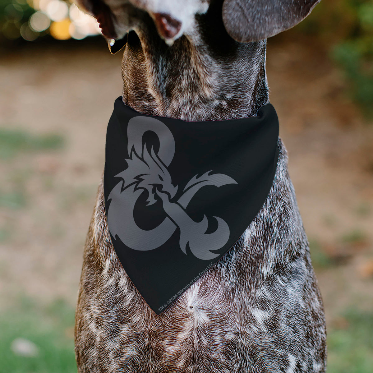 Pet Bandana - Dungeons & Dragons Dice Scattered and Ampersand Logo Dark Gray Pet Bandanas Dungeons & Dragons