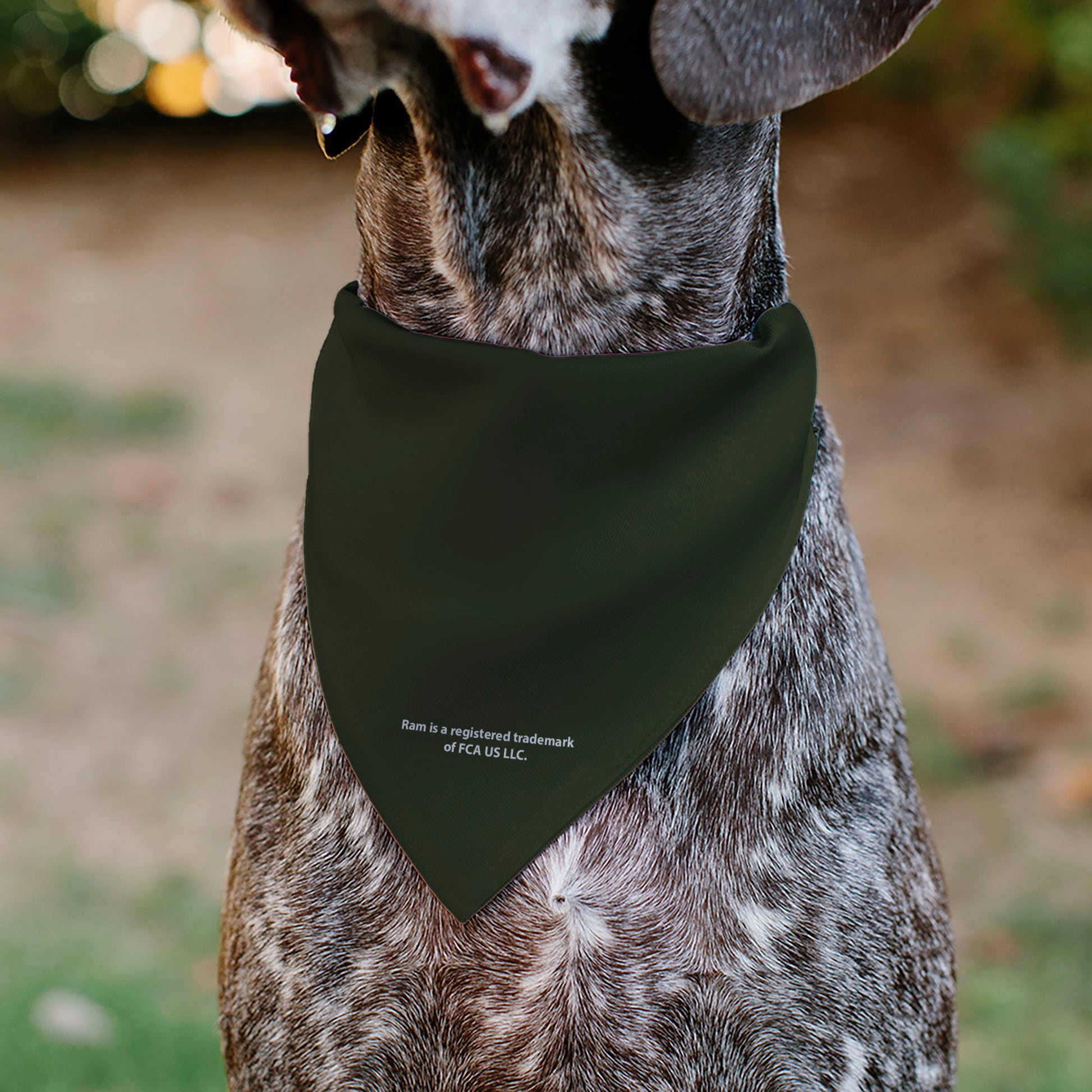 Pet Bandana - RAM TRX Americana Stars and Stripes Weathered Black/Brown/White Pet Bandanas Ram