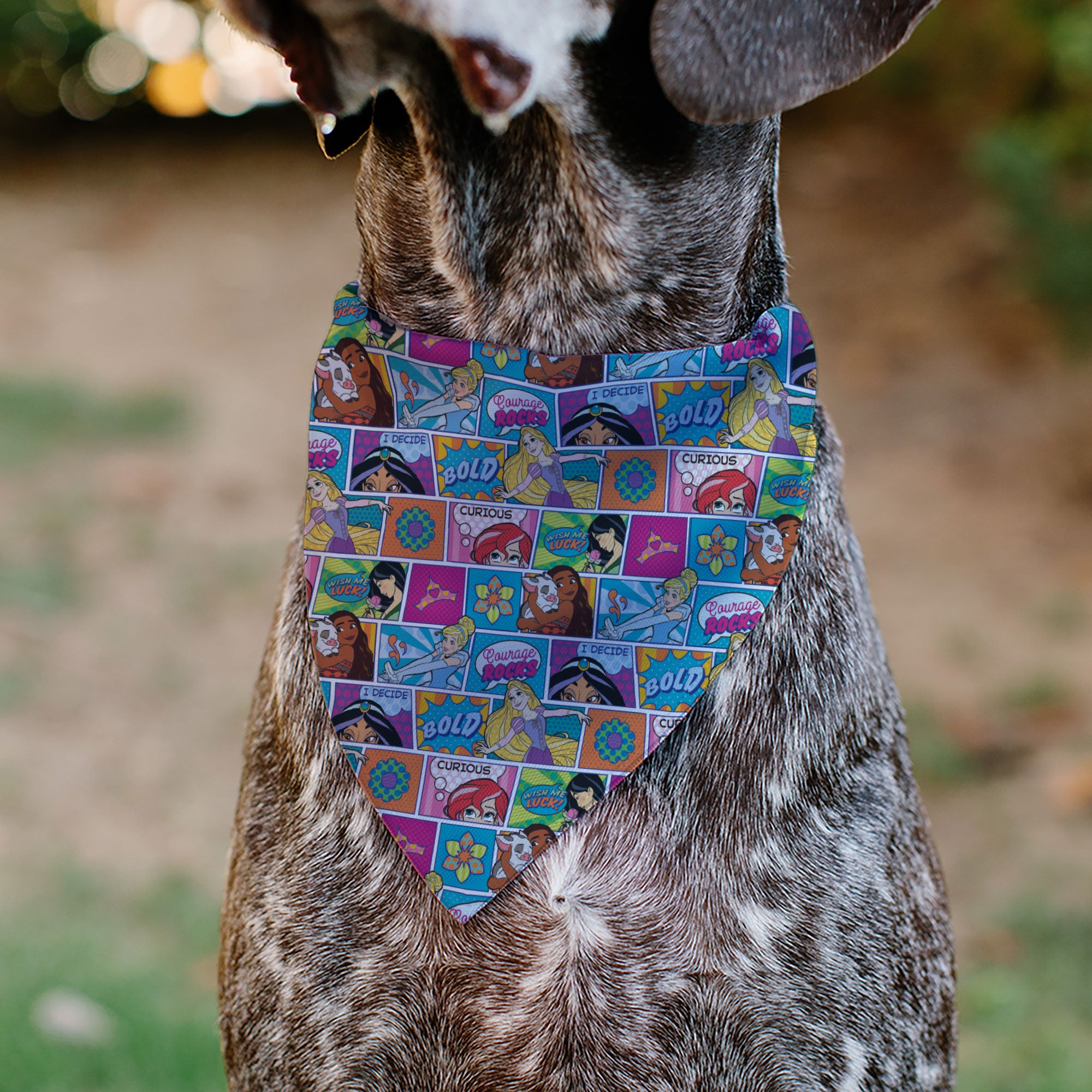 Pet Bandana - Disney Princess Pose and Quote Pop Art Blocks Multi Color Pet Bandanas Disney