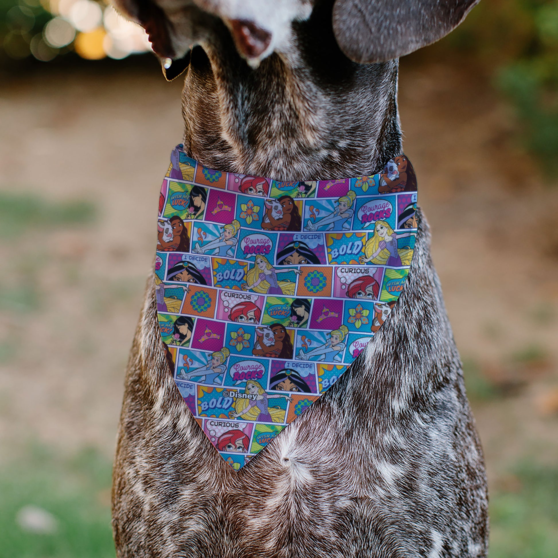 Pet Bandana - Disney Princess Pose and Quote Pop Art Blocks Multi Color Pet Bandanas Disney