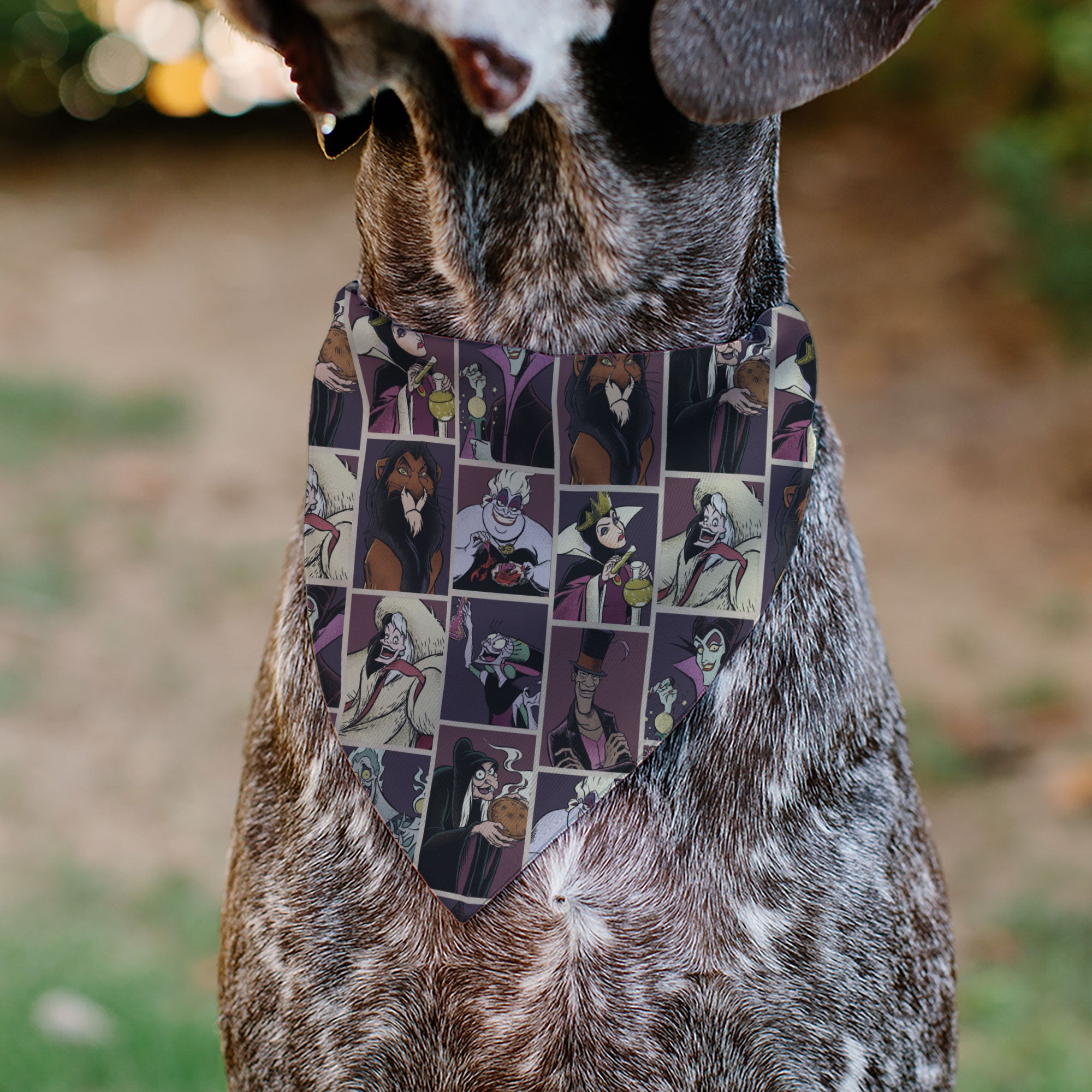 Pet Bandana - Disney Villains Pose Blocks Pet Bandanas Disney