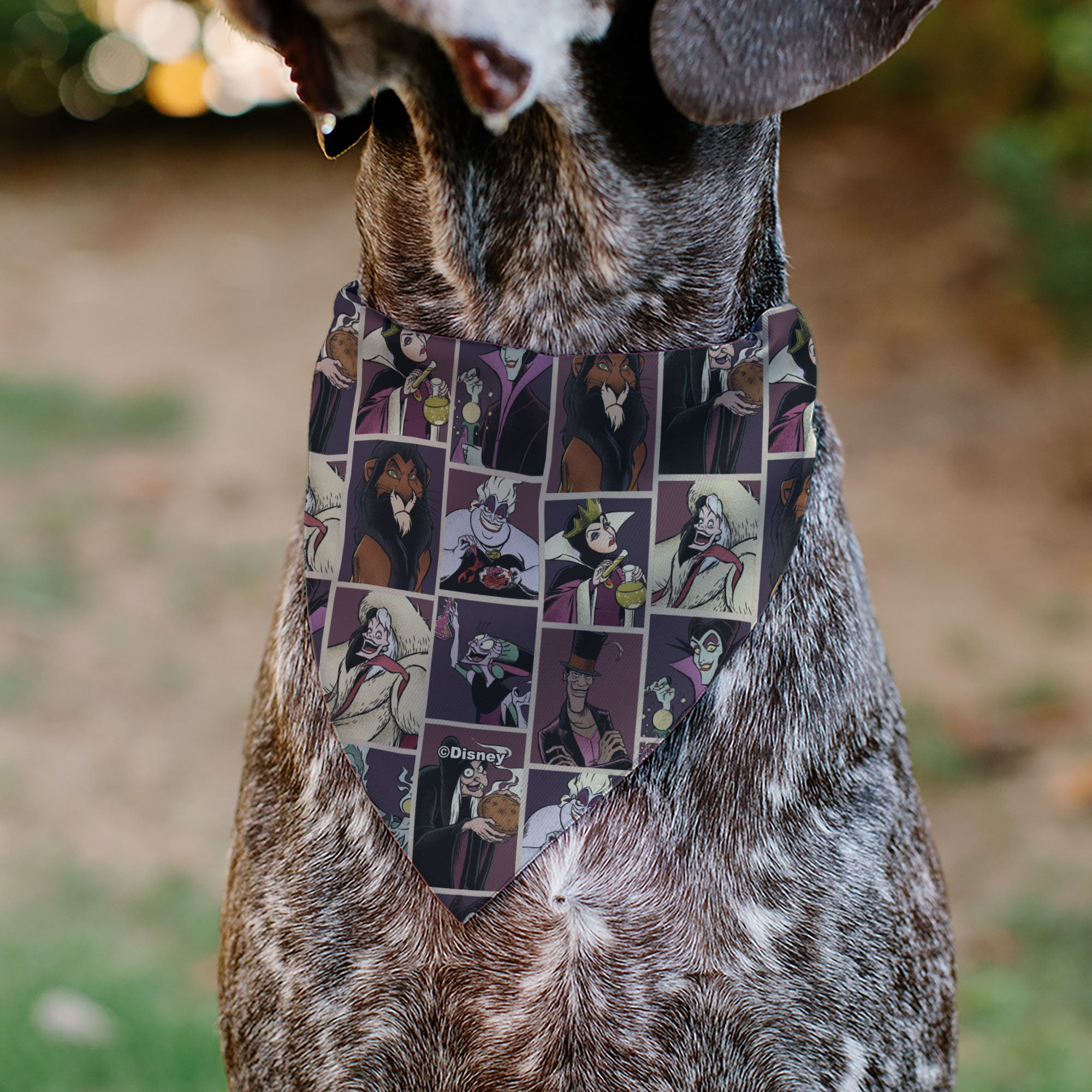 Pet Bandana - Disney Villains Pose Blocks Pet Bandanas Disney