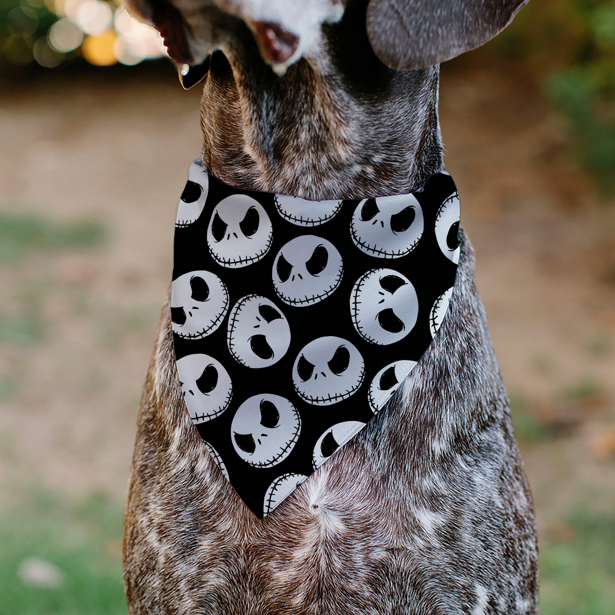 Pet Bandana - The Nightmare Before Christmas Jack Expressions Scattered Black/White Pet Bandanas Disney