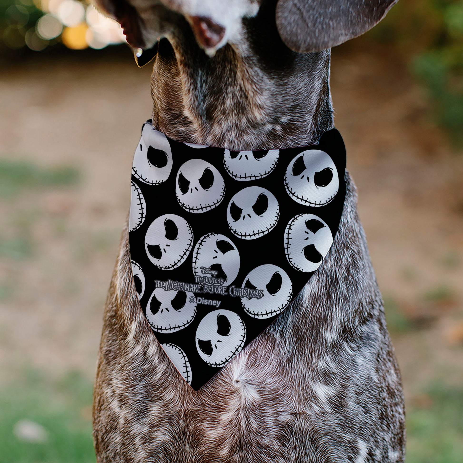 Pet Bandana - The Nightmare Before Christmas Jack Expressions Scattered Black/White Pet Bandanas Disney