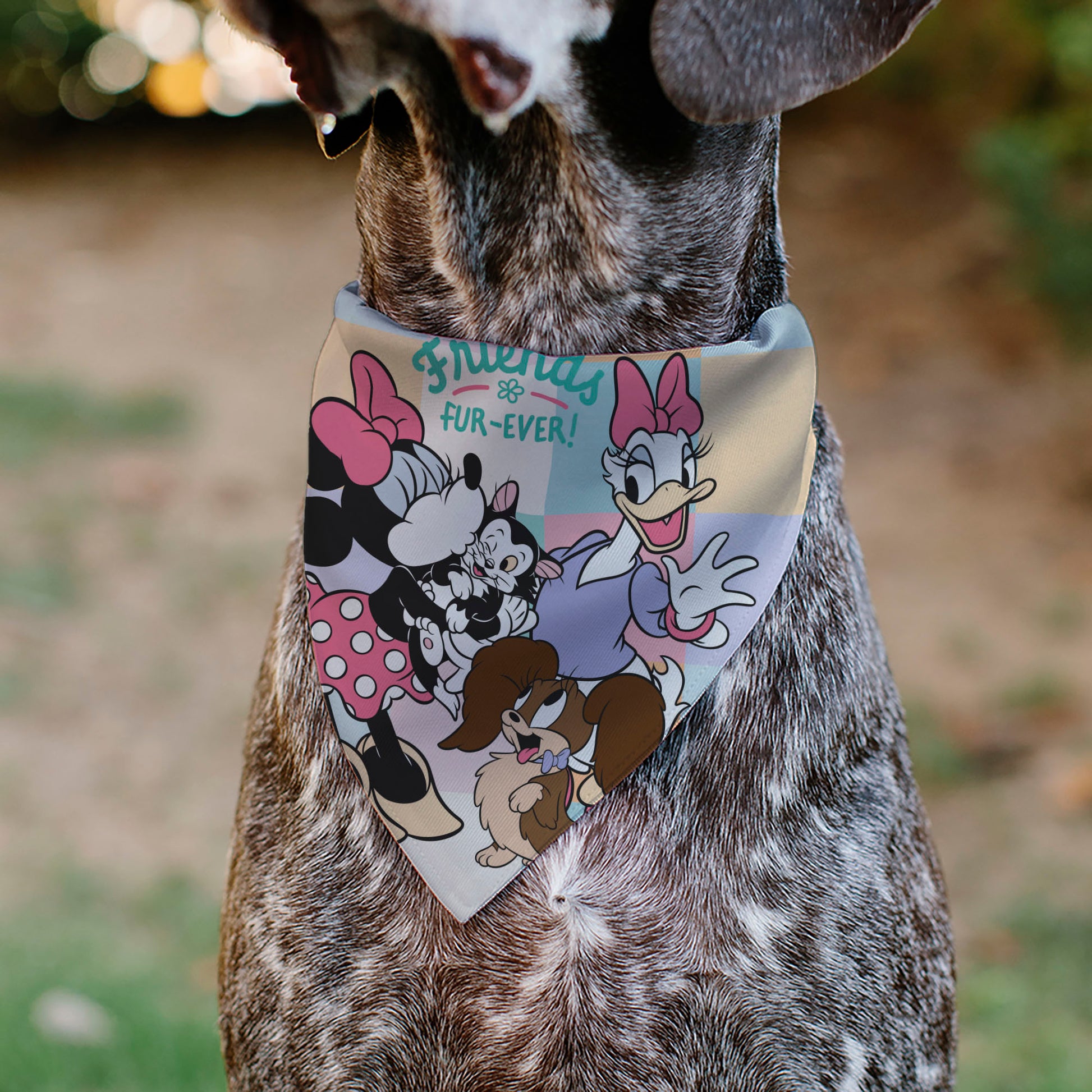 Pet Bandana - Minnie Mouse and Daisy Duck with Figaro and Fifi FRIENDS FUR-EVER Multi Color Pet Bandanas Disney