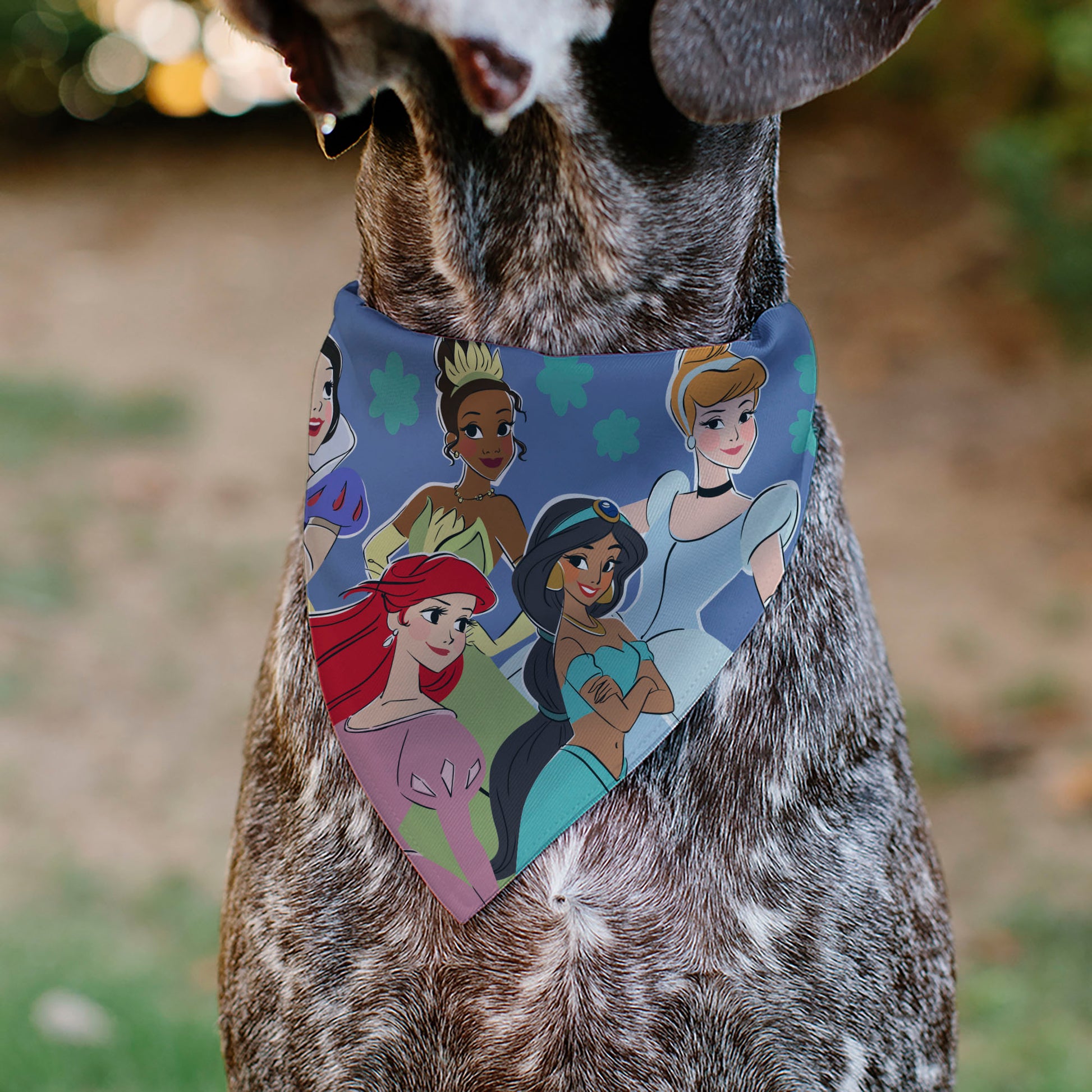 Pet Bandana - Disney Five Princesses Group Pose and Flowers Blues Pet Bandanas Disney