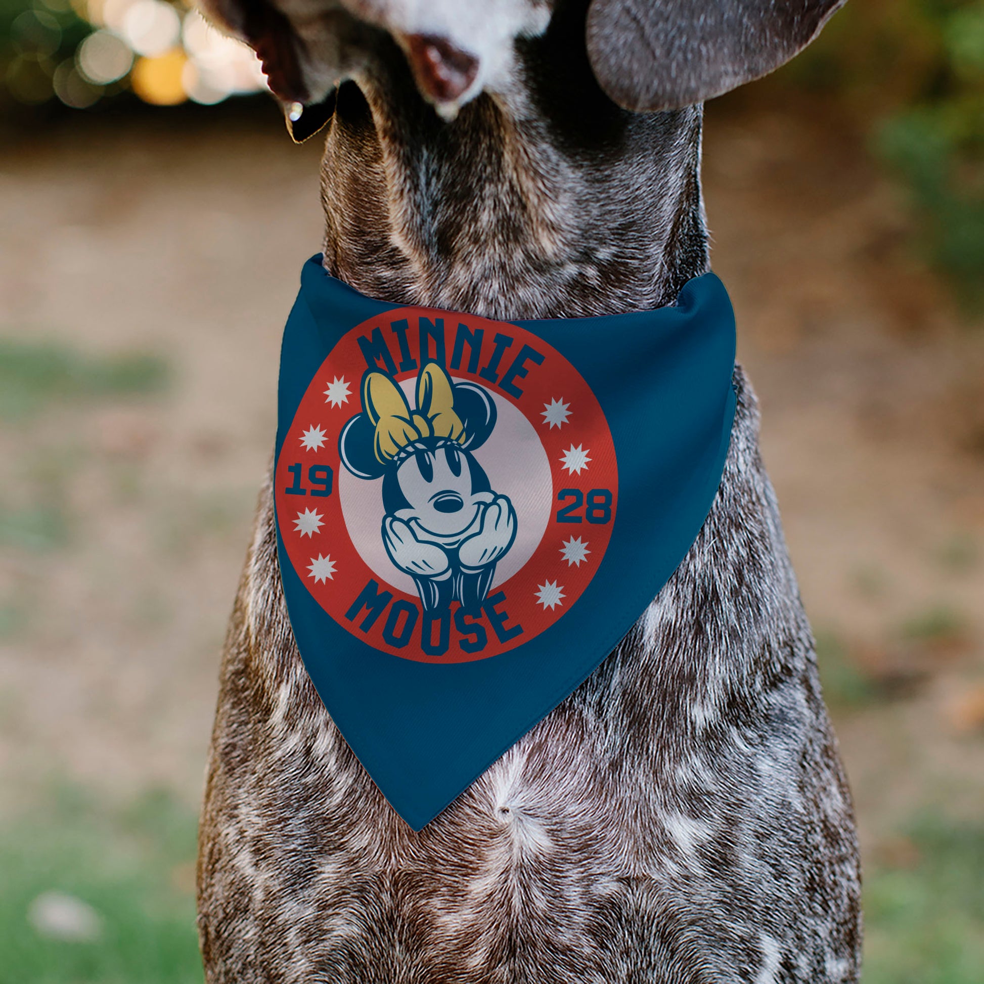 Pet Bandana - MINNIE MOUSE 1928 Dreamy Pose Blue/Red/White/Yellow Pet Bandanas Disney