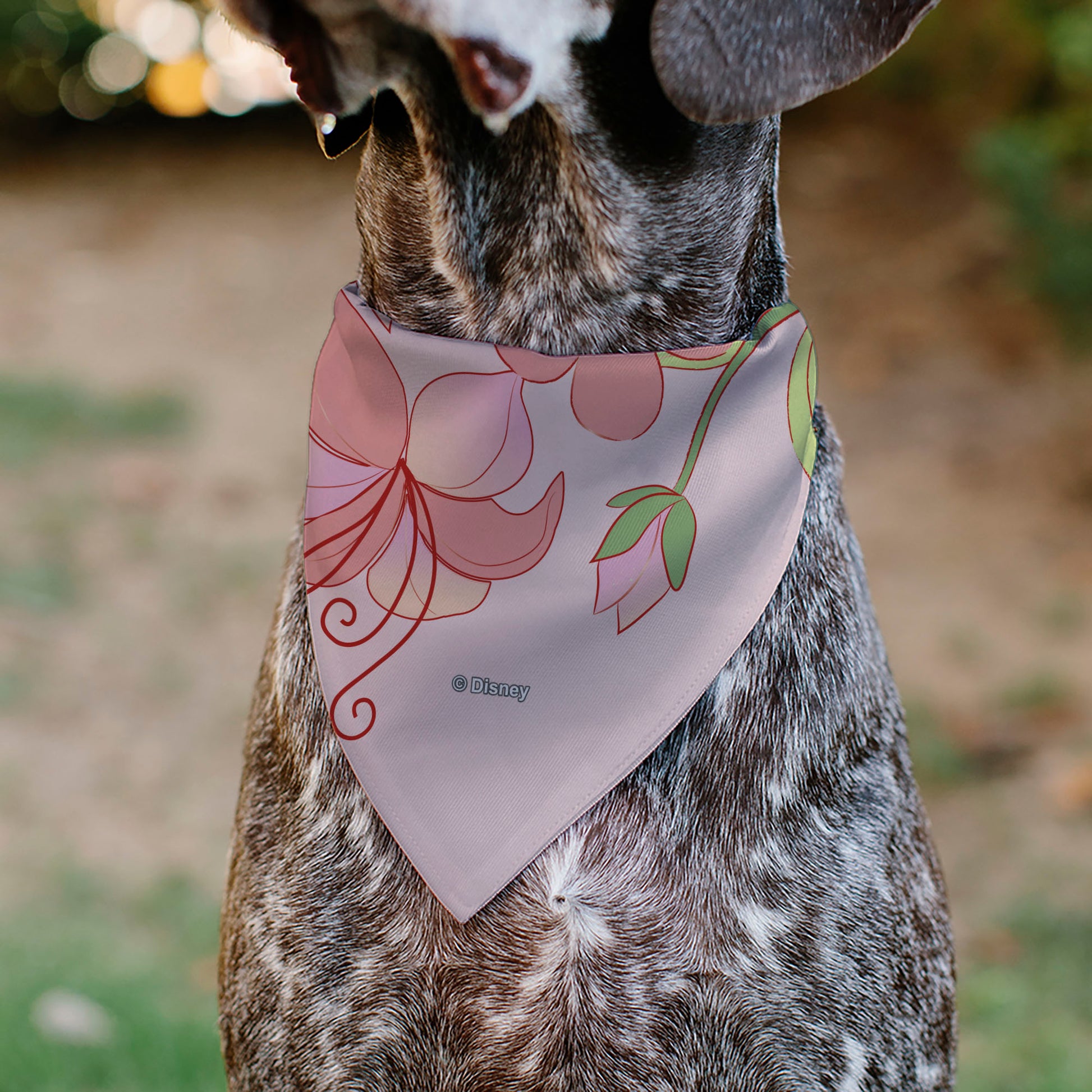 Pet Bandana - Tangled Rapunzel and Pascal Flowers Pose Pinks Pet Bandanas Disney