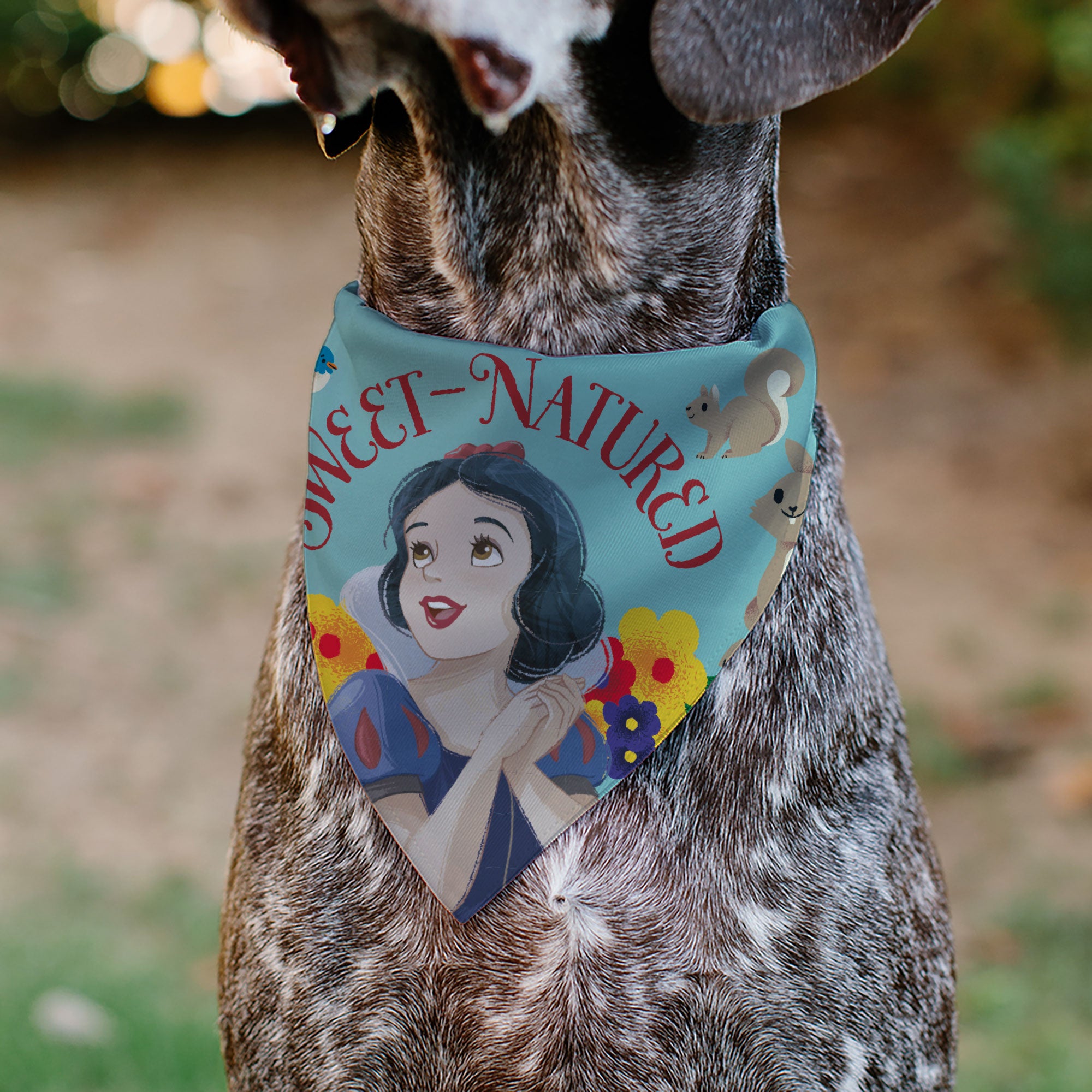Pet Bandana - Snow White SWEET NATURED Pose Blue Pet Bandanas Disney